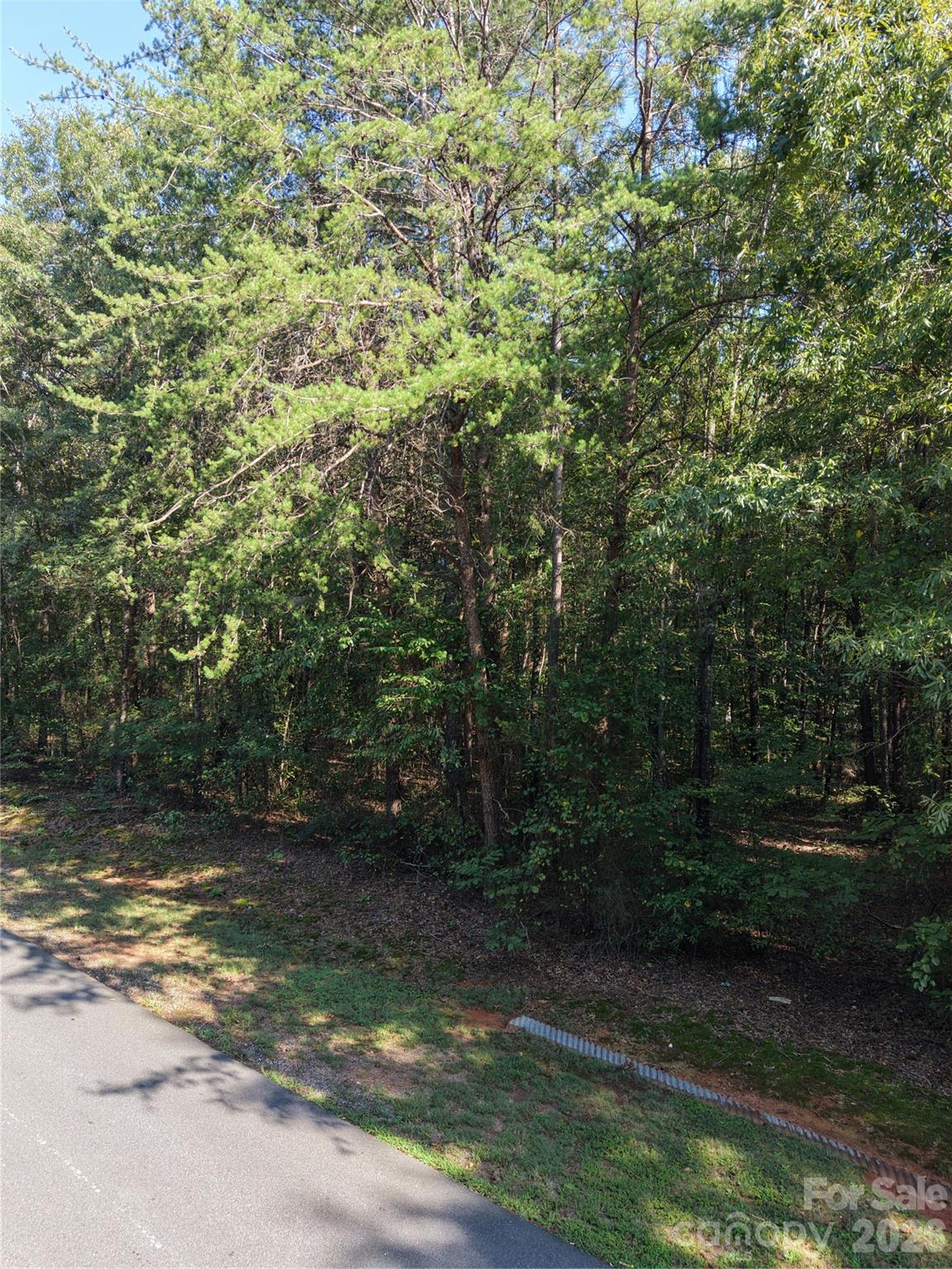 1550 Maiden Wood Circle Property Photo 10