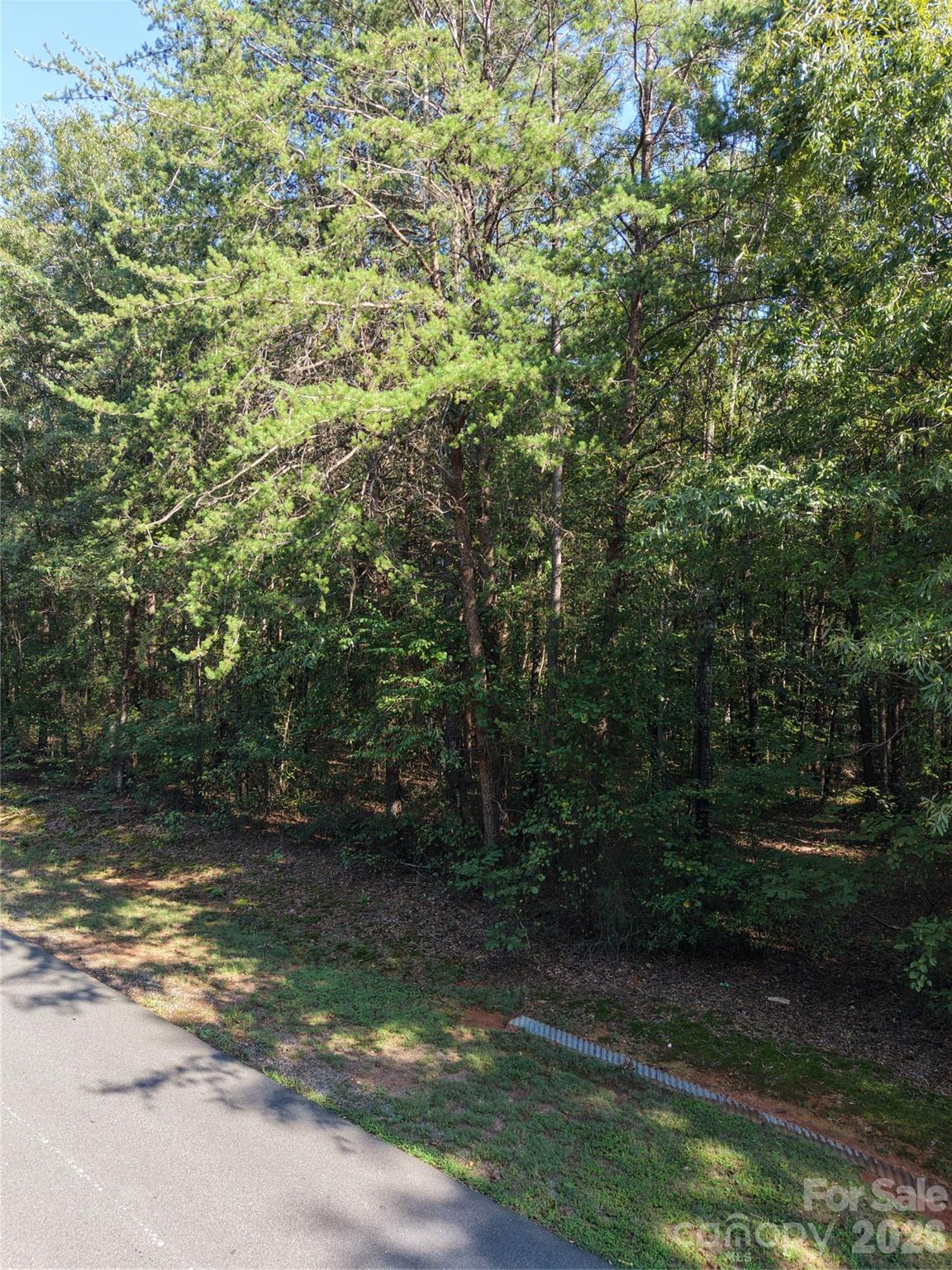 1550 Maiden Wood Circle Property Photo 11