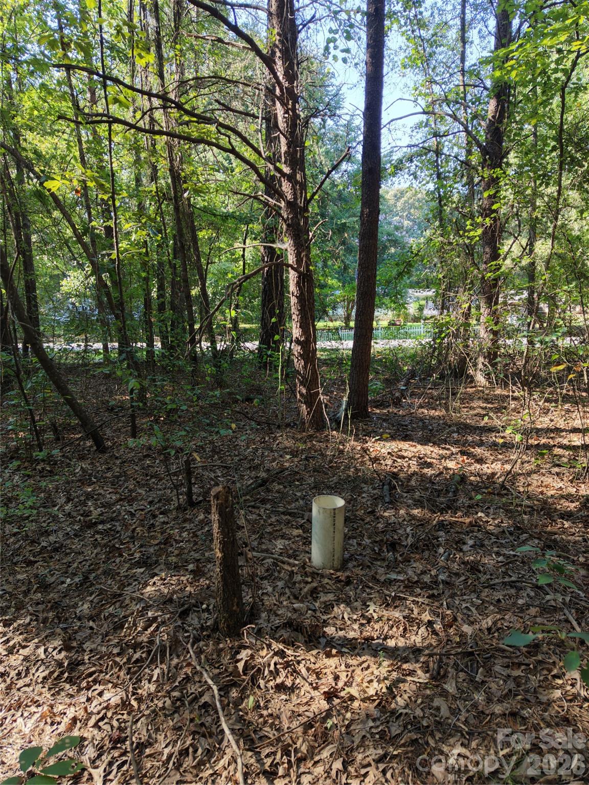 1550 Maiden Wood Circle Property Photo 12