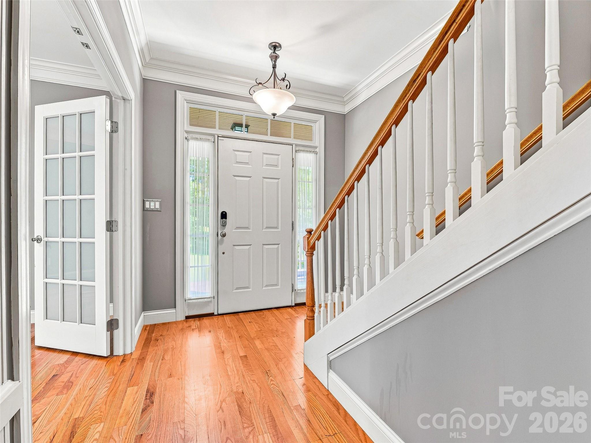 5 Amelia Court Property Photo 5