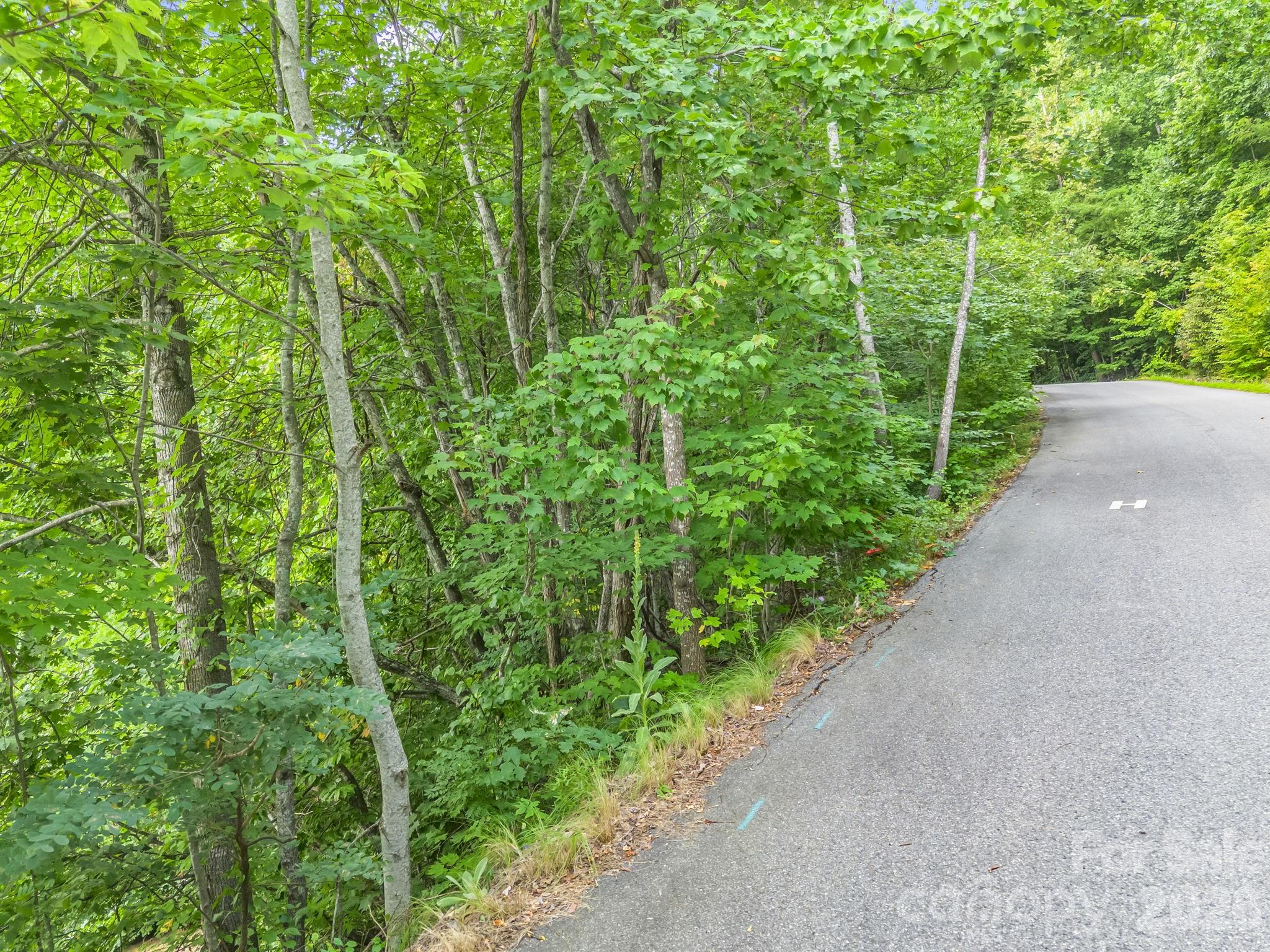 99999 Crestview Drive A11 Property Photo 8