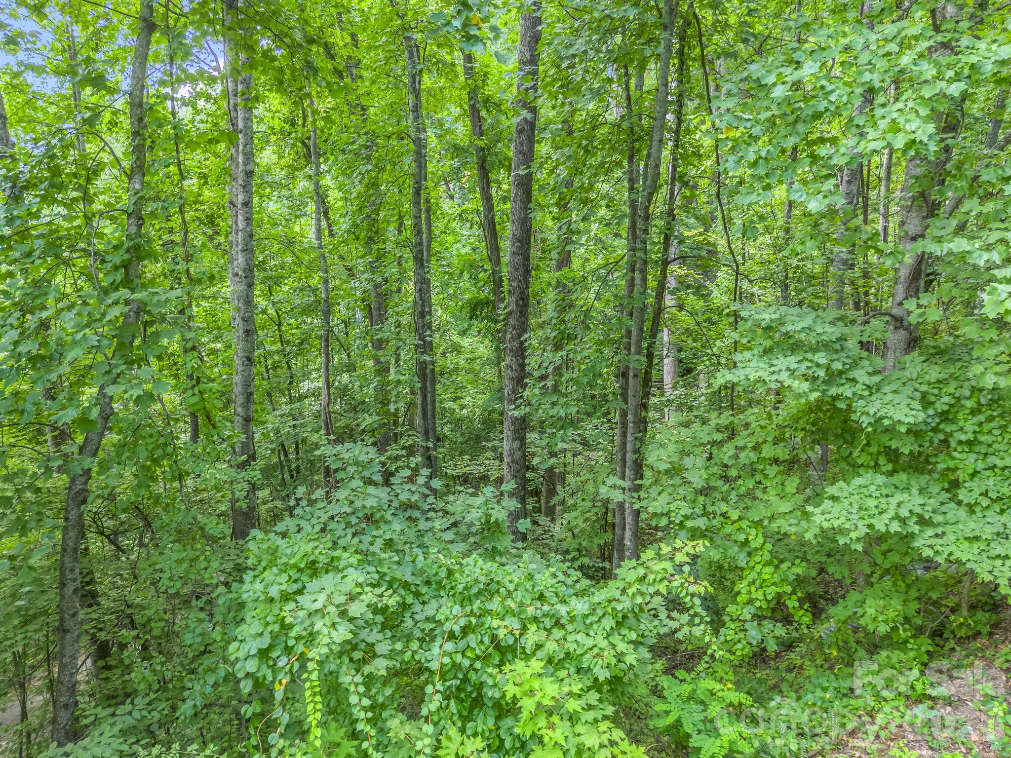 99999 Crestview Drive A11 Property Photo 10