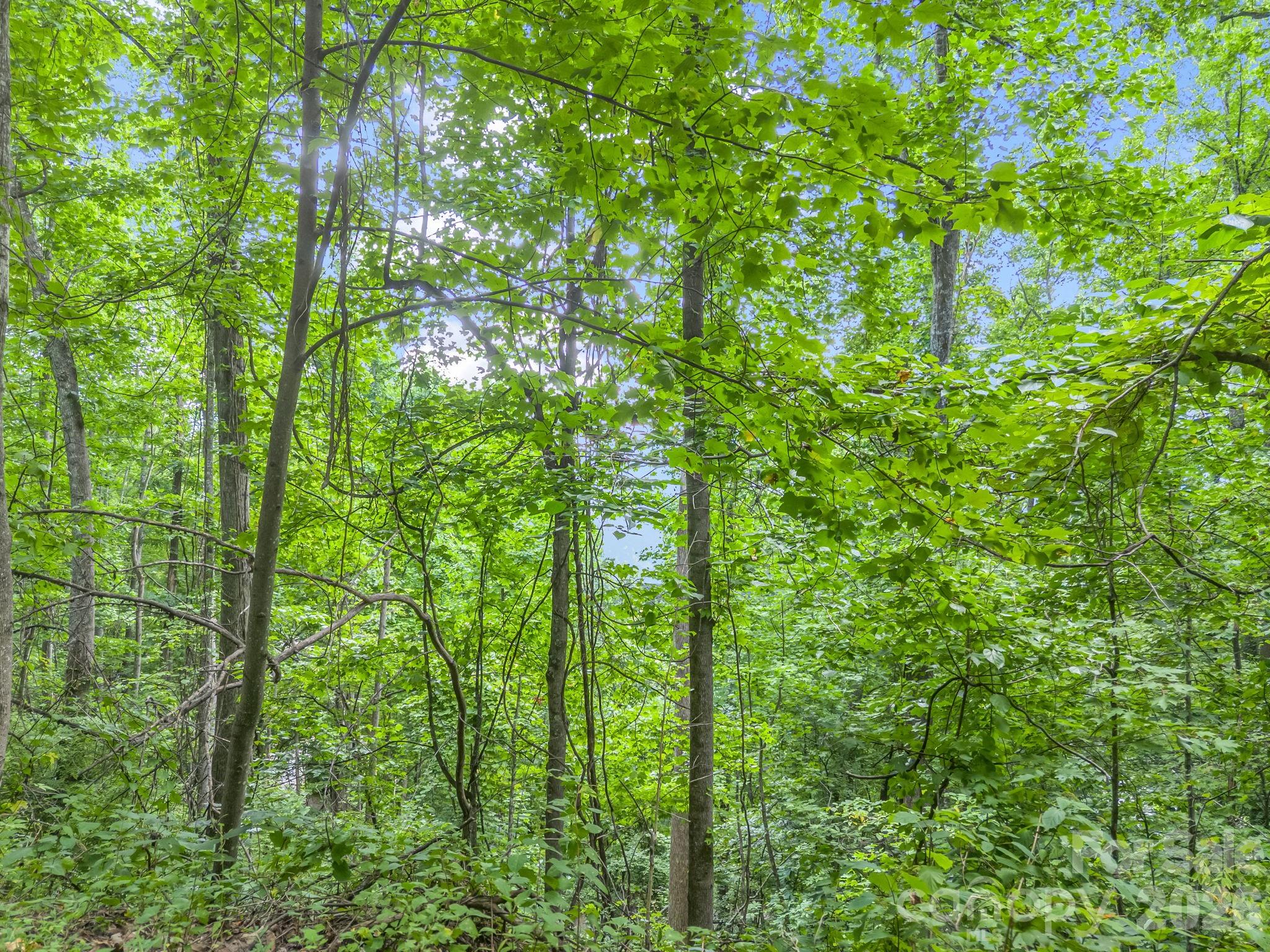 99999 Crestview Drive A11 Property Photo 12
