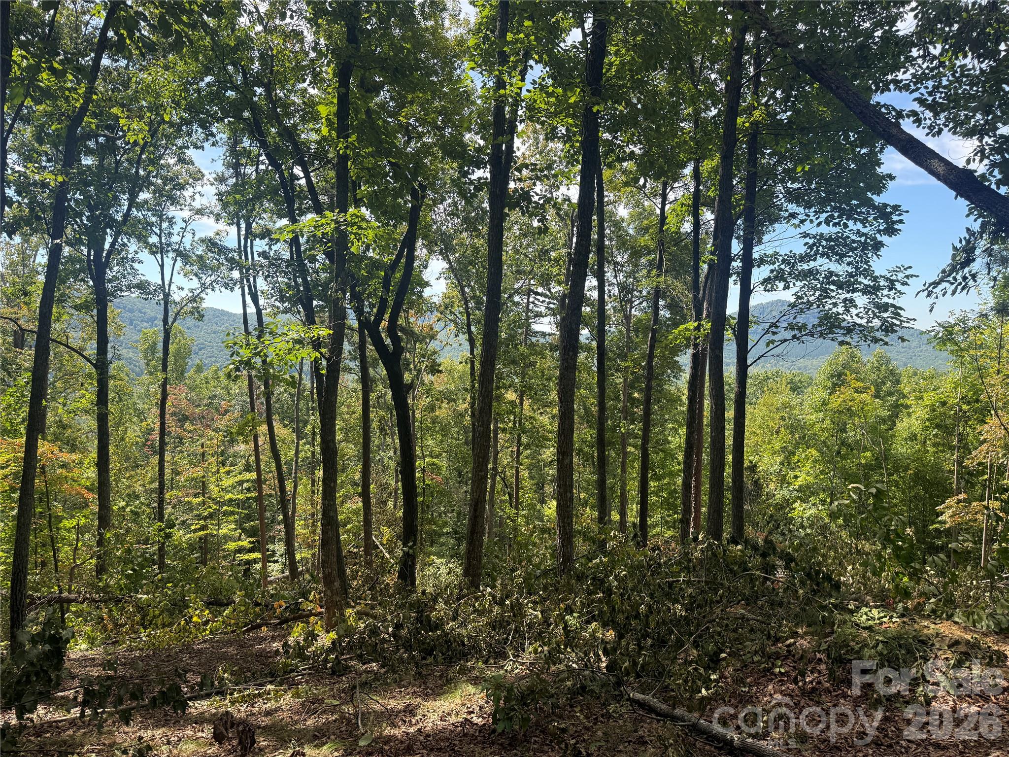 V/l Scenic Vista Drive 332/333 Property Photo 2