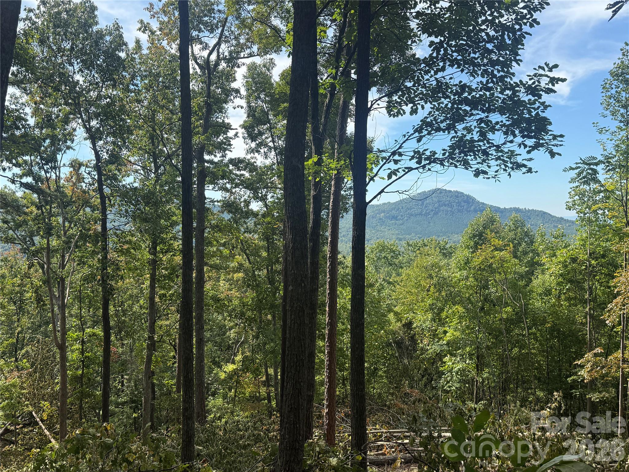 V/l Scenic Vista Drive 332/333 Property Photo 5