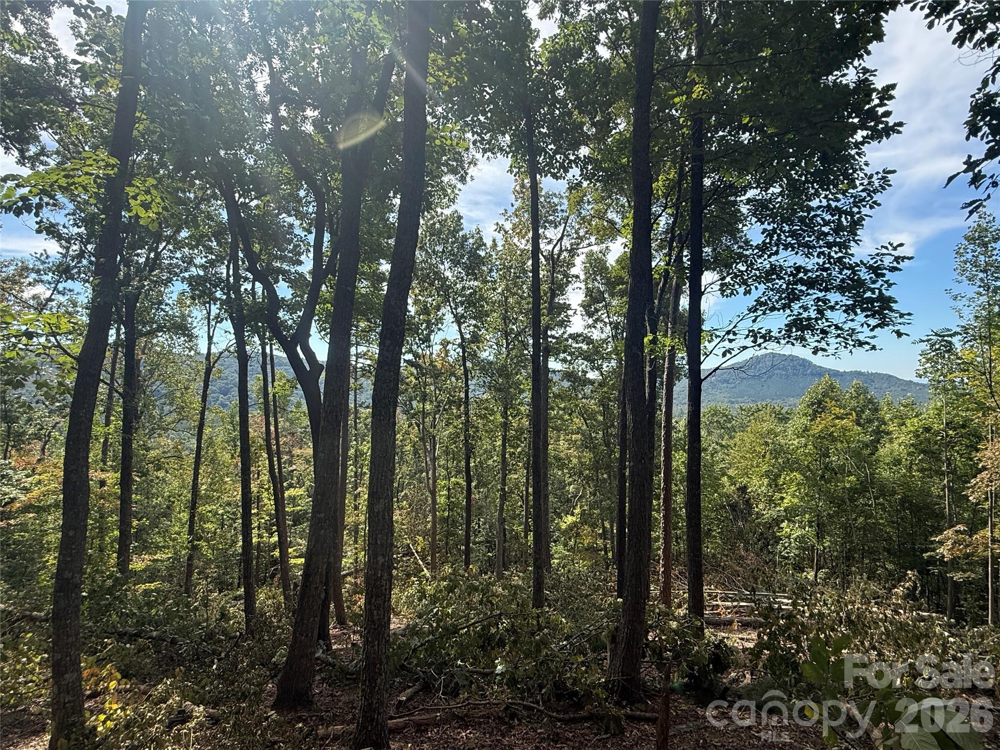 V/l Scenic Vista Drive 332/333 Property Photo 6