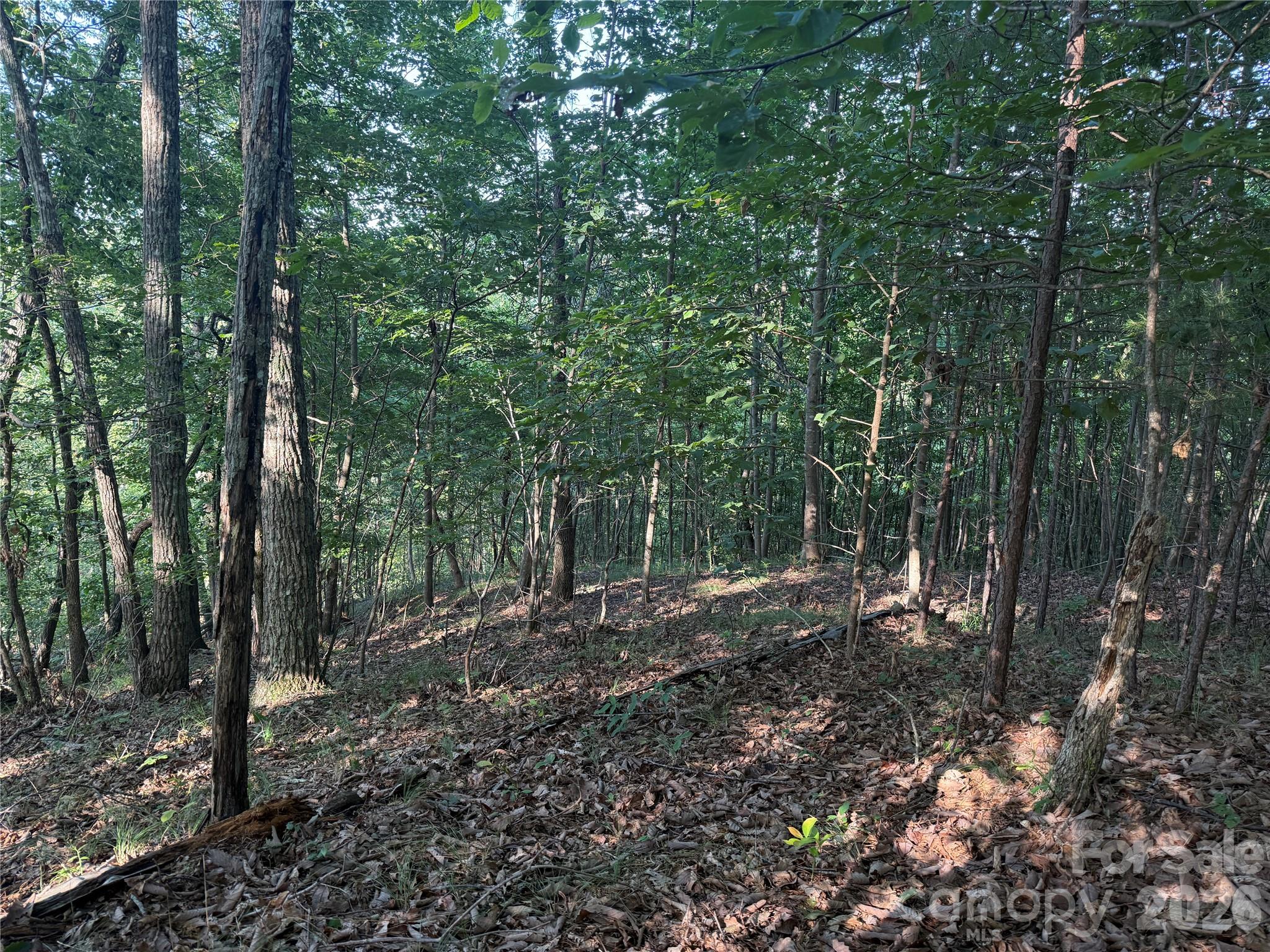 V/l Scenic Vista Drive 332/333 Property Photo 9