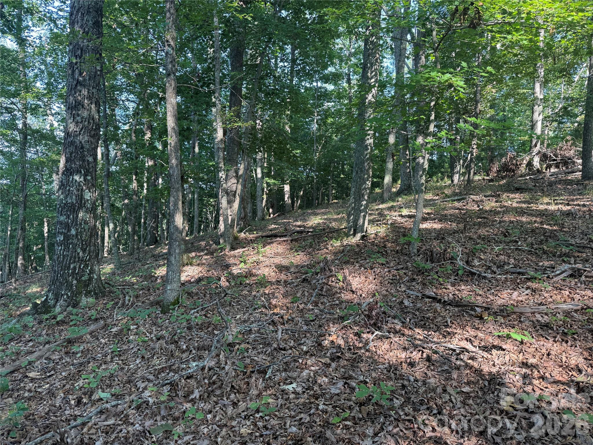 V/l Scenic Vista Drive 332/333 Property Photo 10