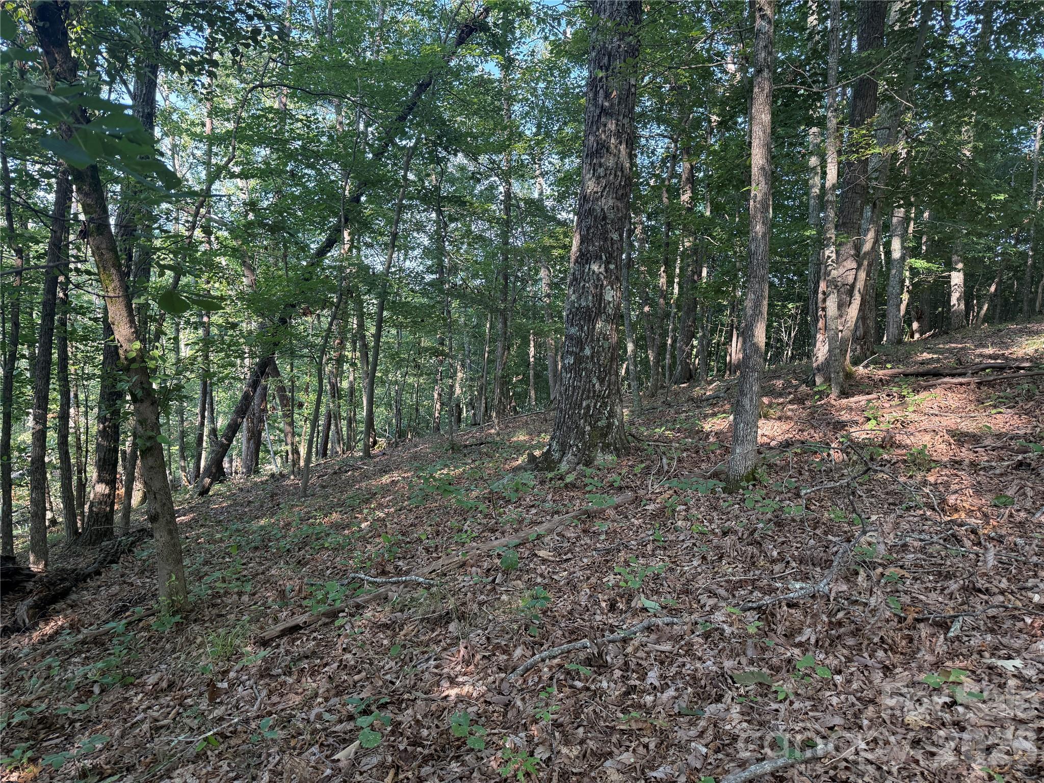 V/l Scenic Vista Drive 332/333 Property Photo 11