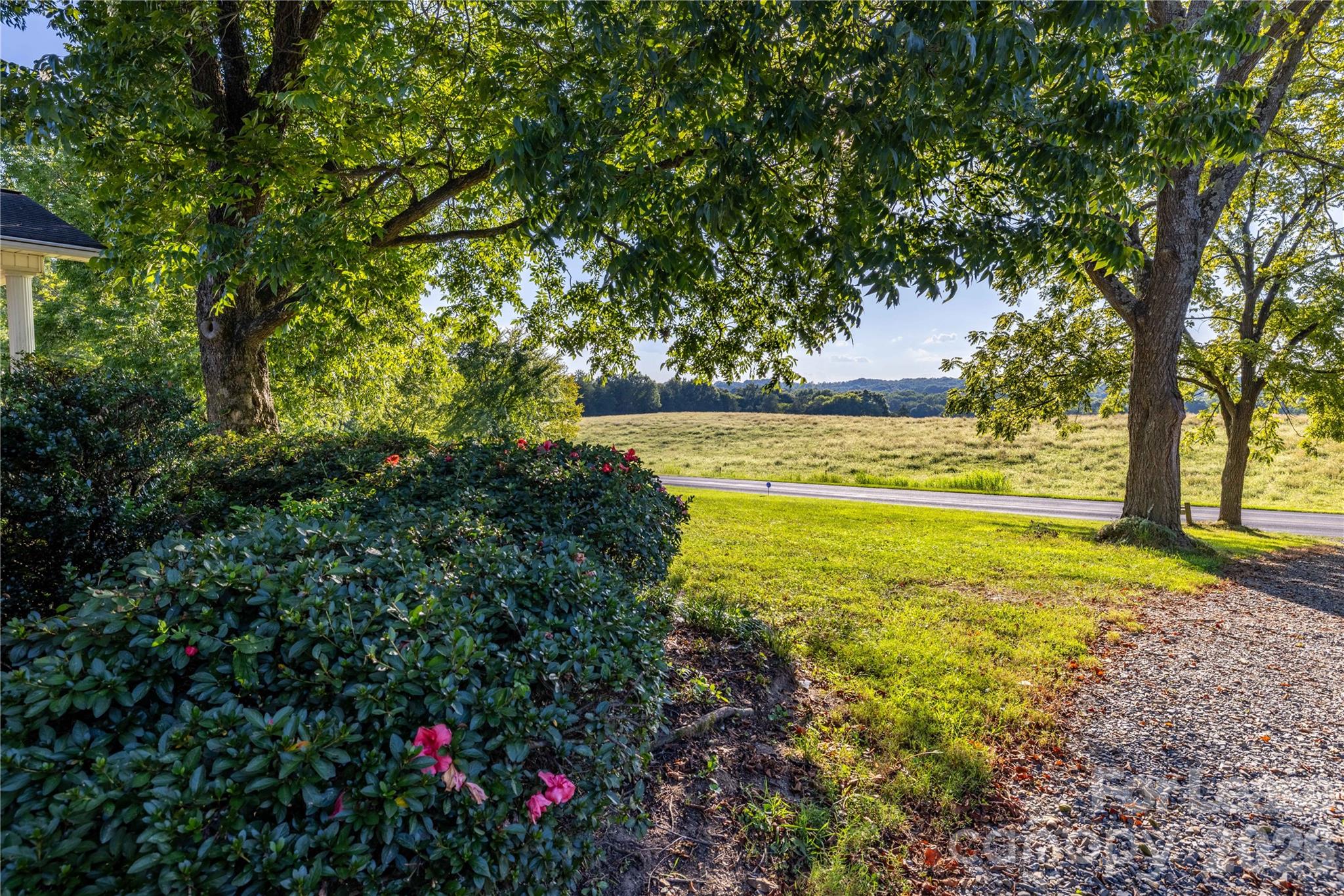 34838 Ellen Road Property Photo 9