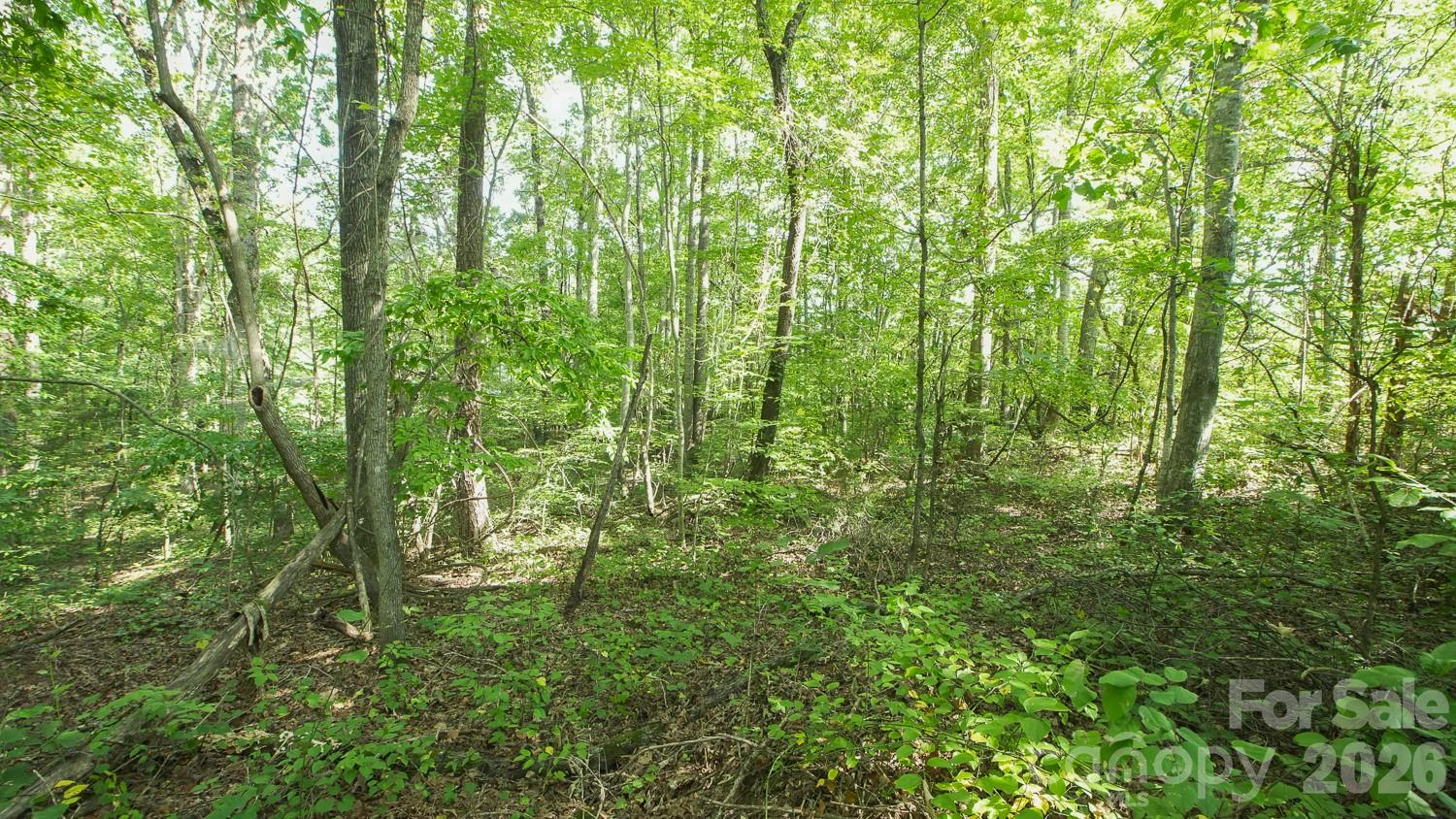 0 Beargrass Lane Property Photo 7