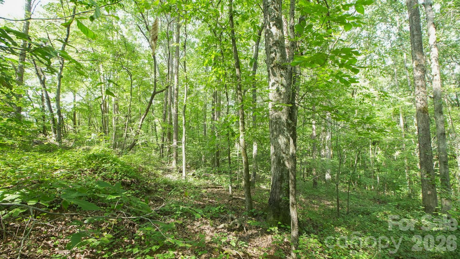 0 Beargrass Lane Property Photo 9