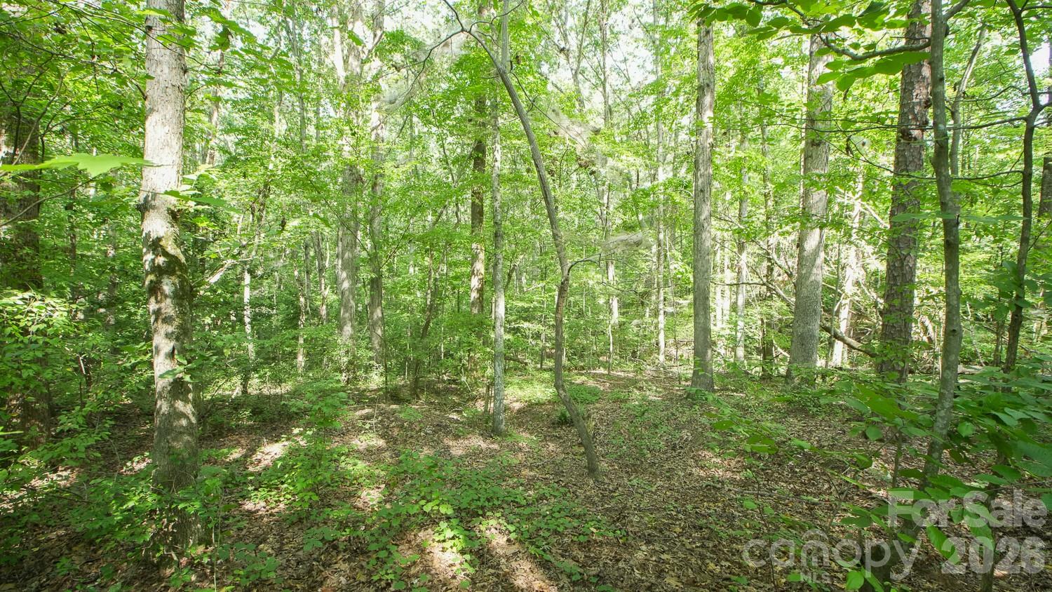 0 Beargrass Lane Property Photo 10