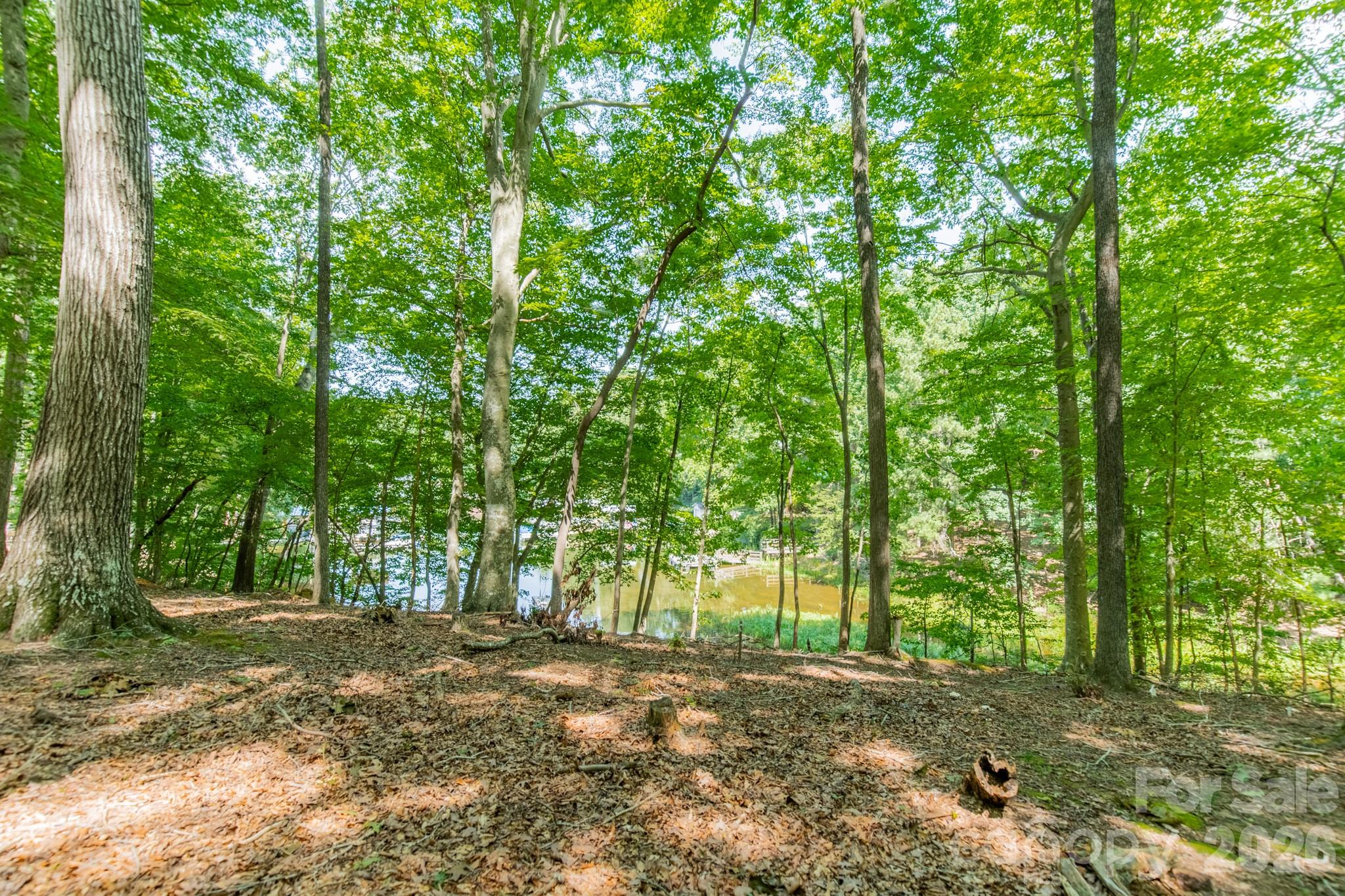 195 Agnew Road Property Photo 5