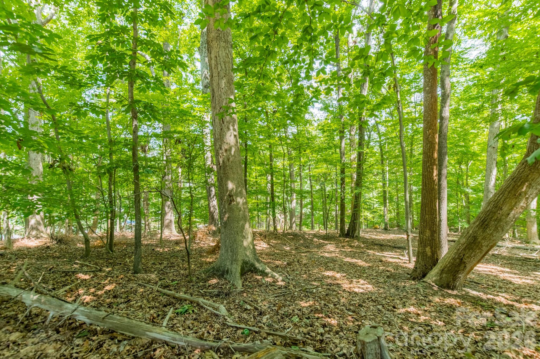 195 Agnew Road Property Photo 6