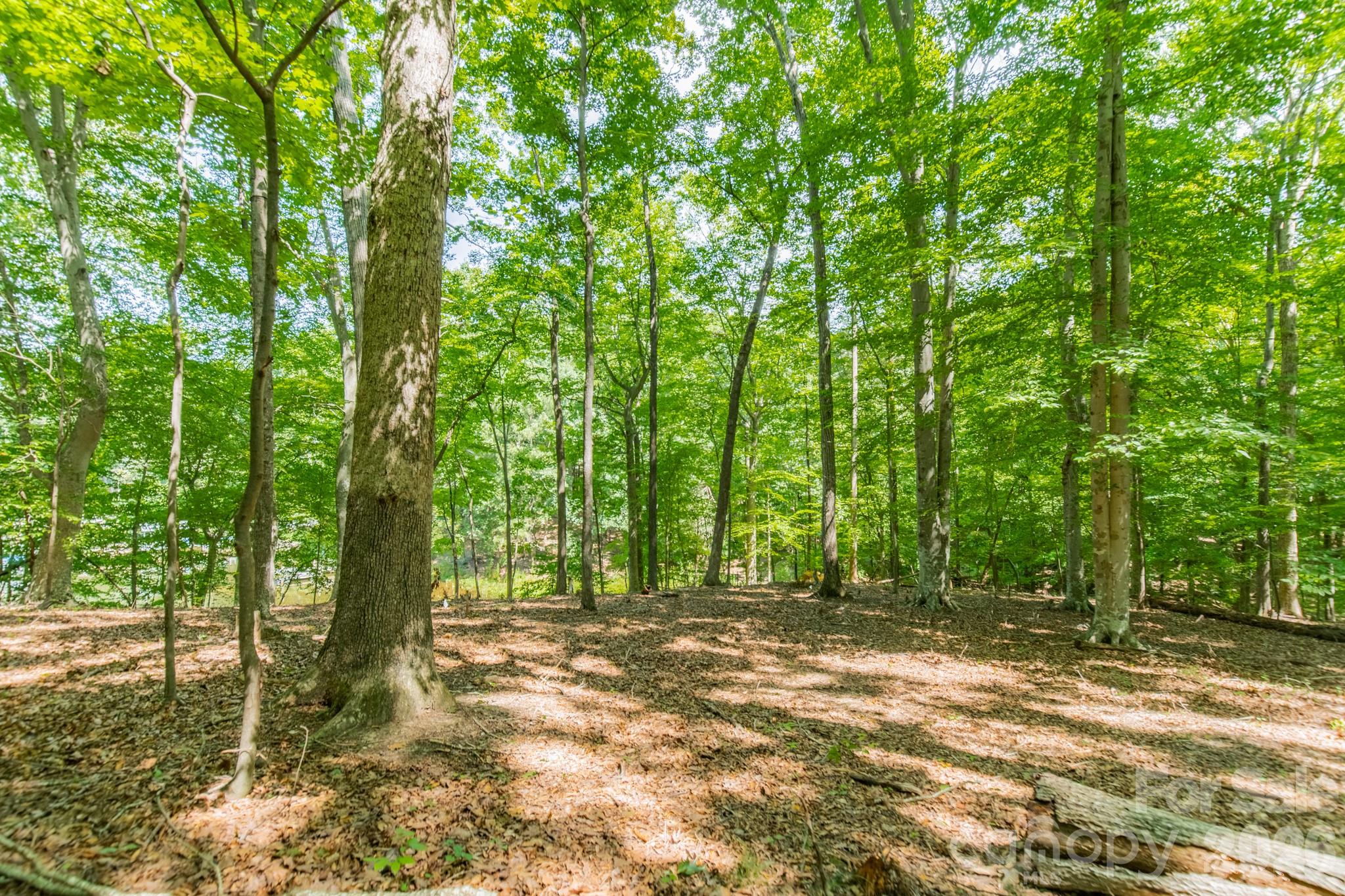 195 Agnew Road Property Photo 8
