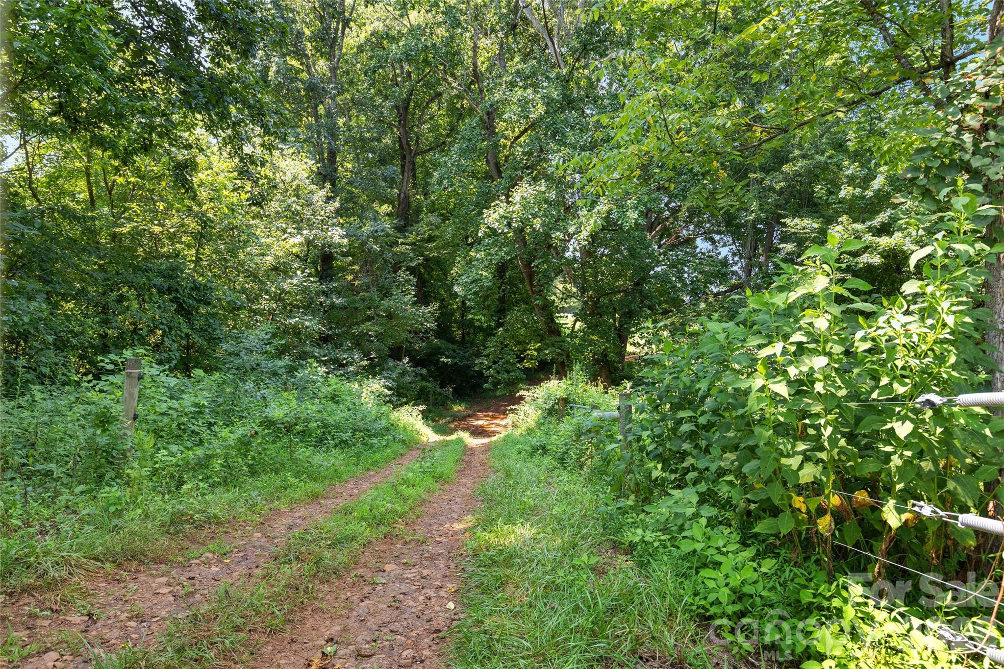 0 Pasture Place Property Photo 2