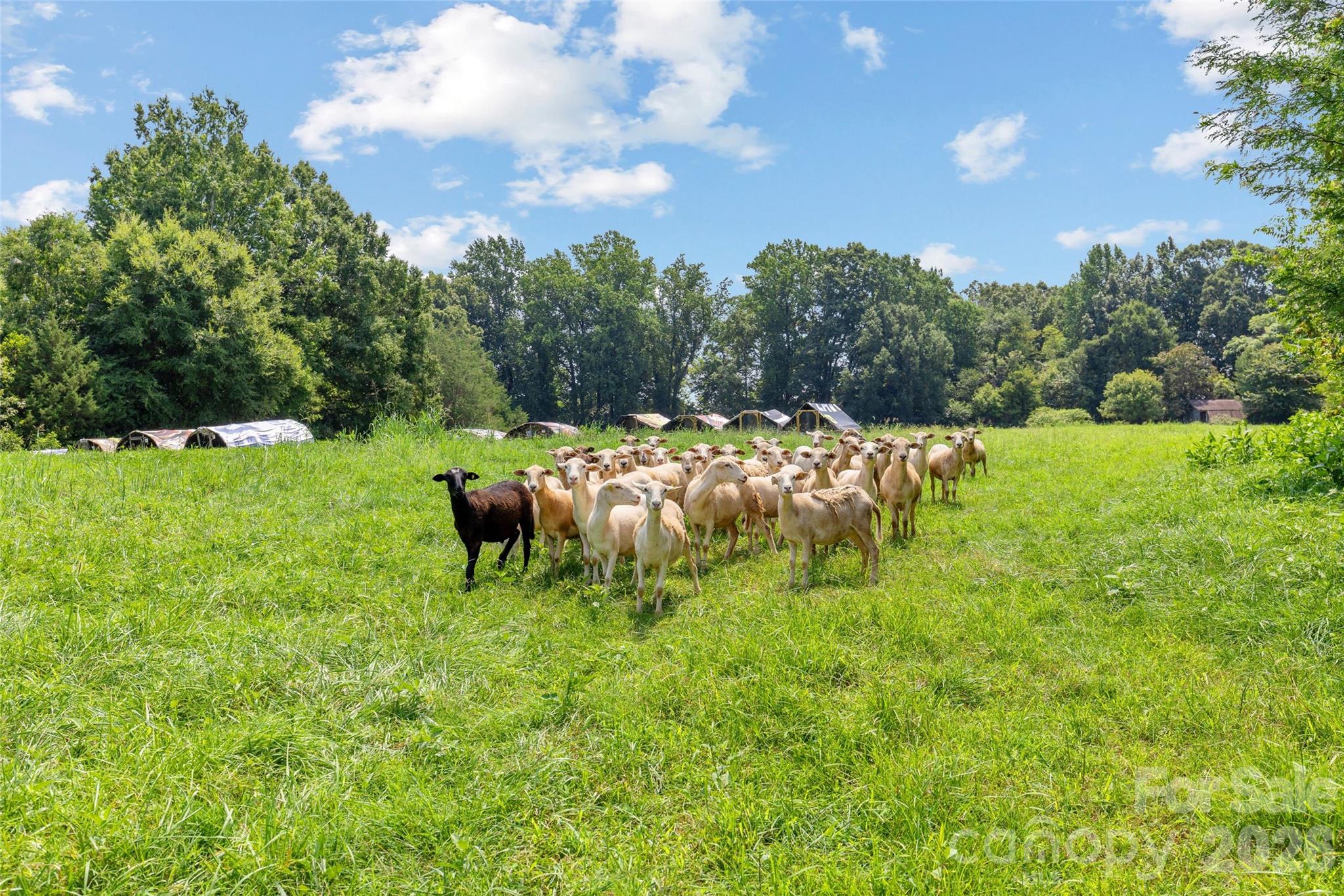 0 Pasture Place Property Photo 4