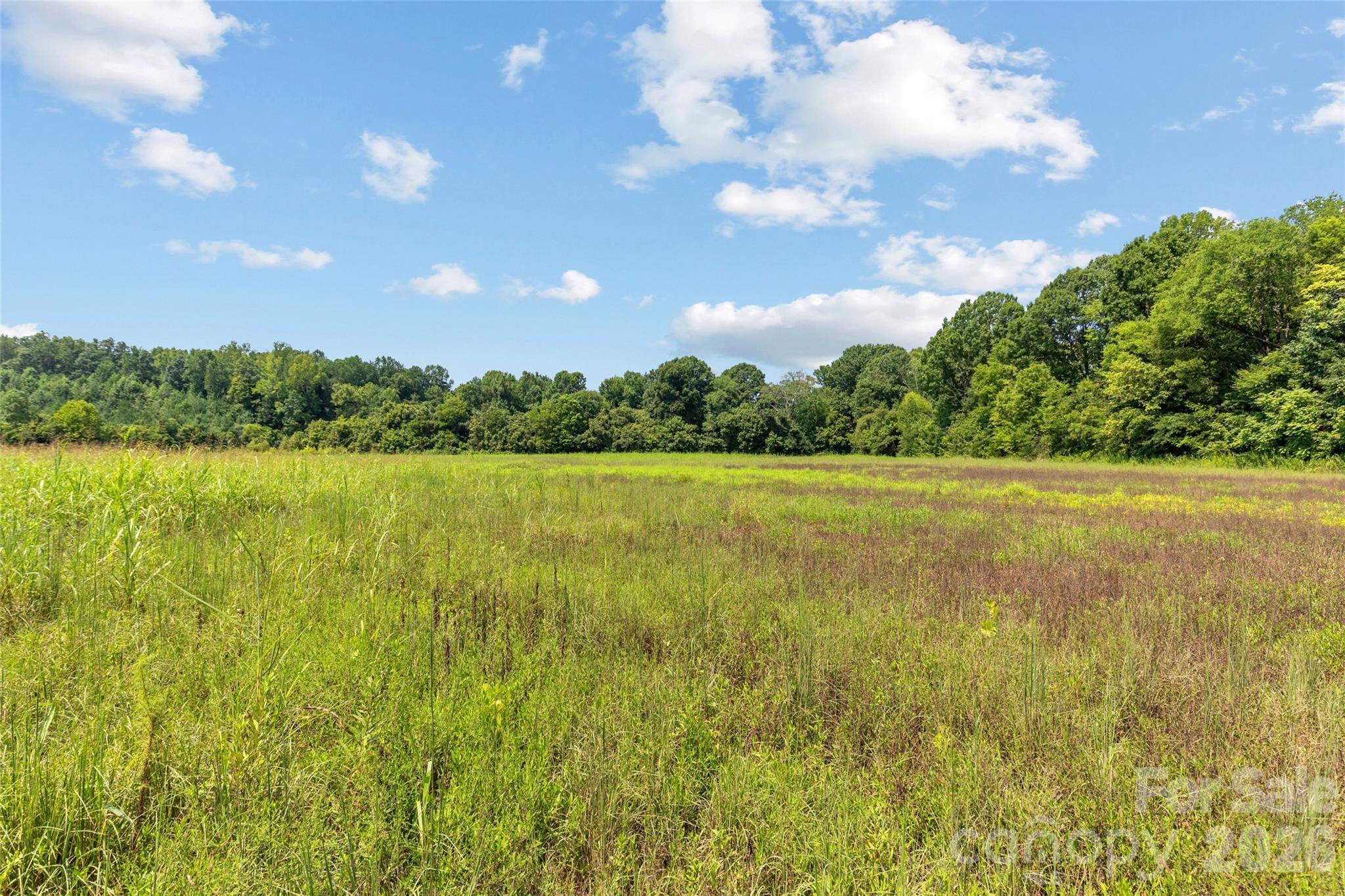 0 Pasture Place Property Photo 5