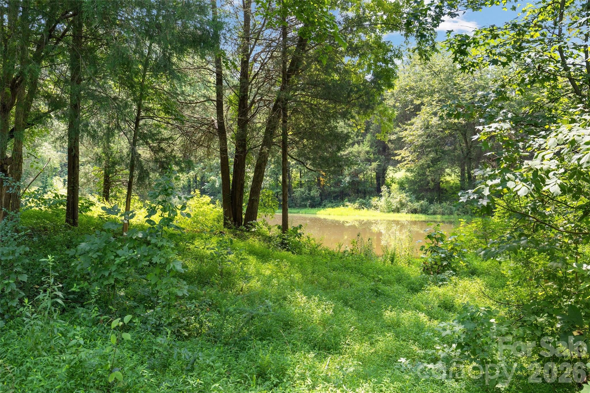 0 Pasture Place Property Photo 9