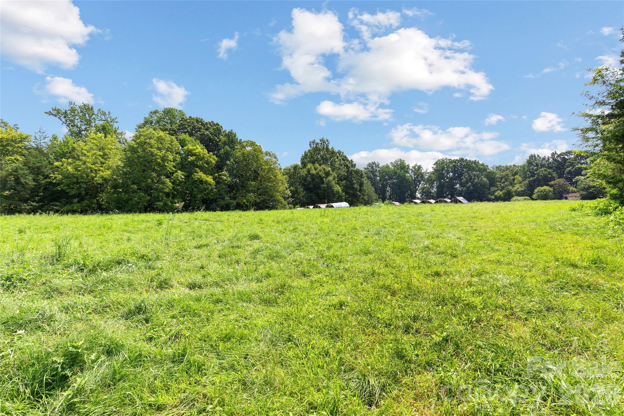 0 Pasture Place Property Photo 14