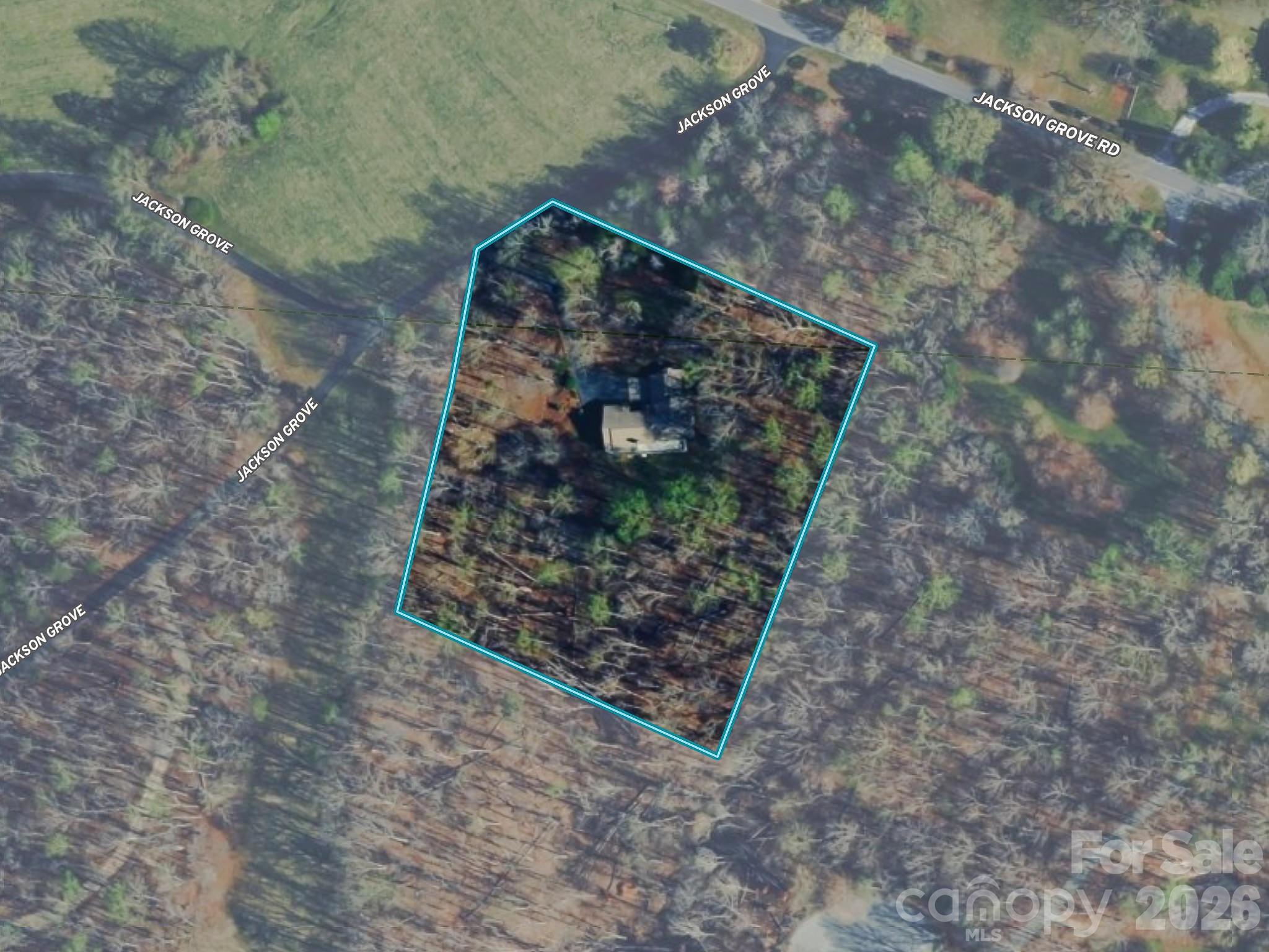 5 Jackson Grove Property Photo 45