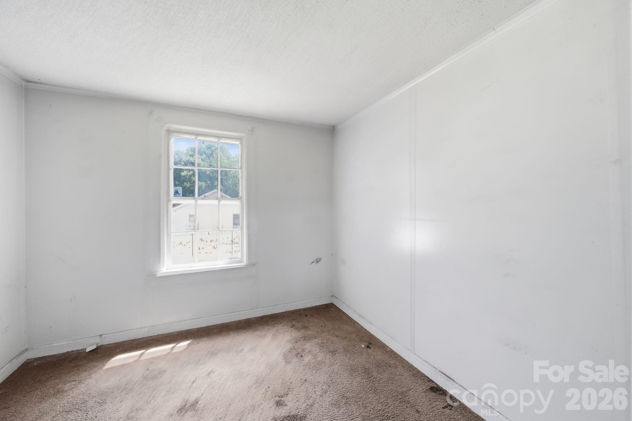 439 Richardson Street Property Photo 16