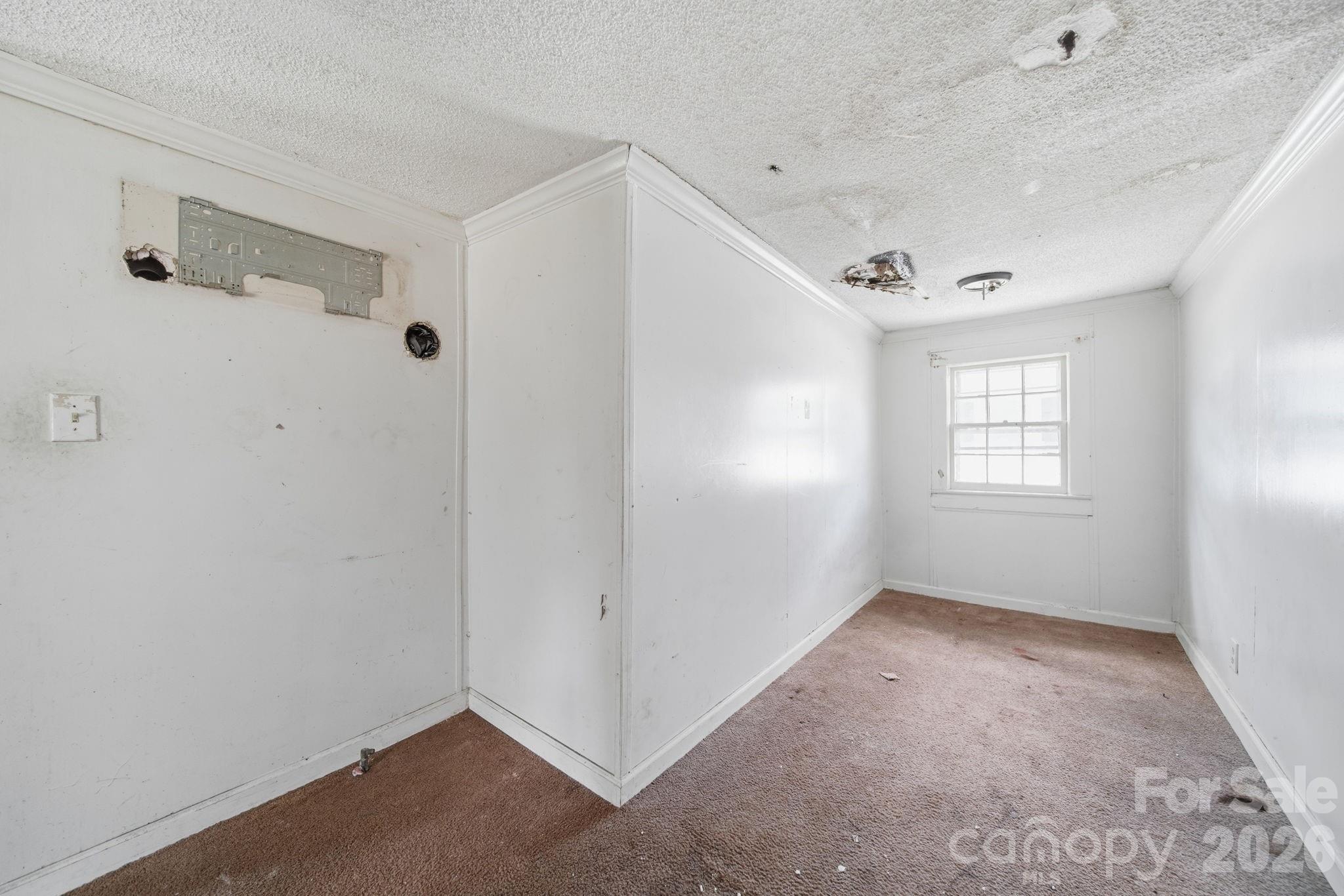 439 Richardson Street Property Photo 20
