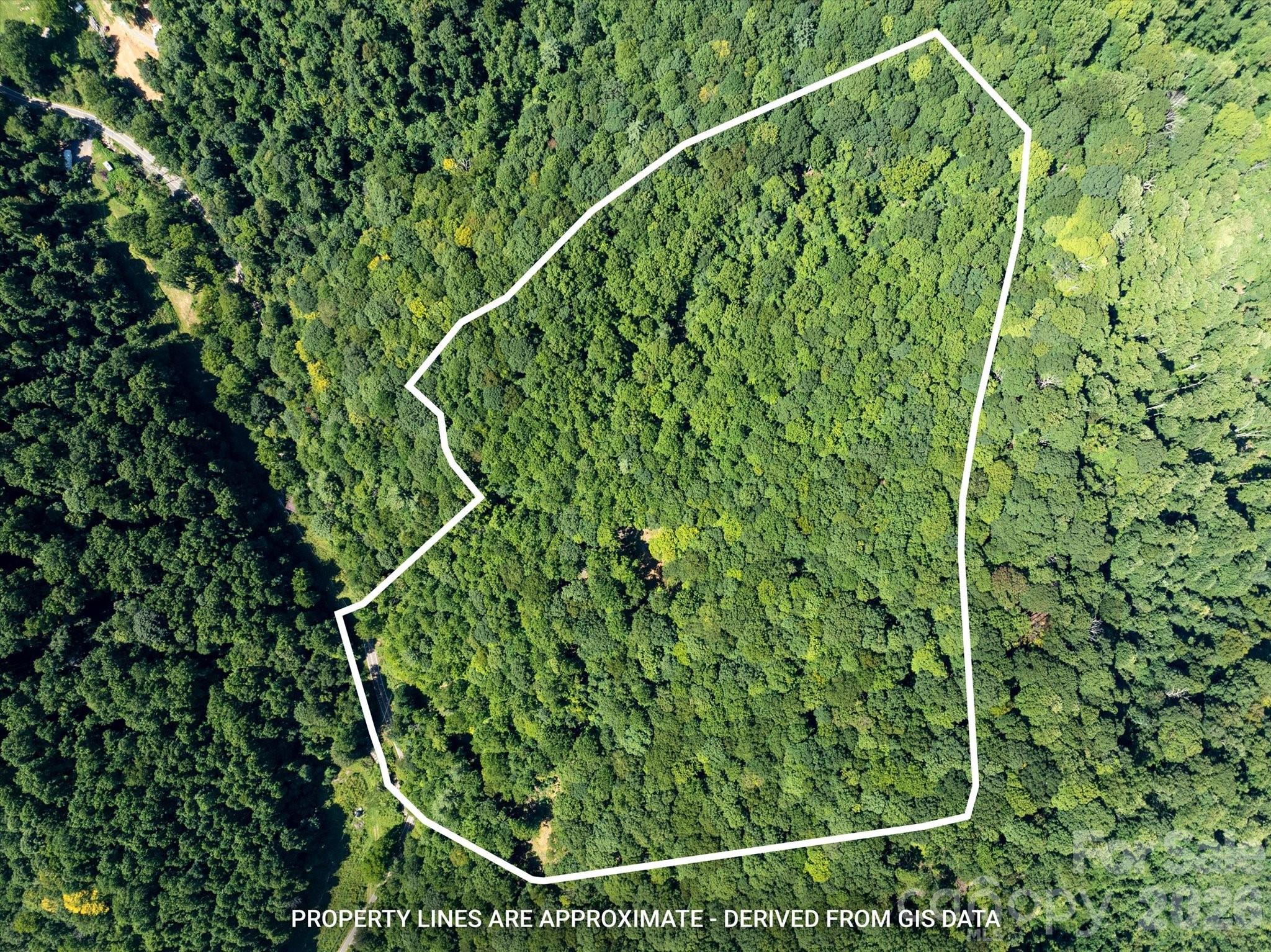 99999 Patsy Creek Road Property Photo 1