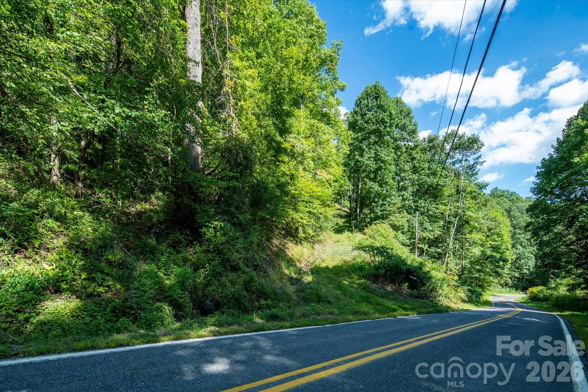 99999 Patsy Creek Road Property Photo 3