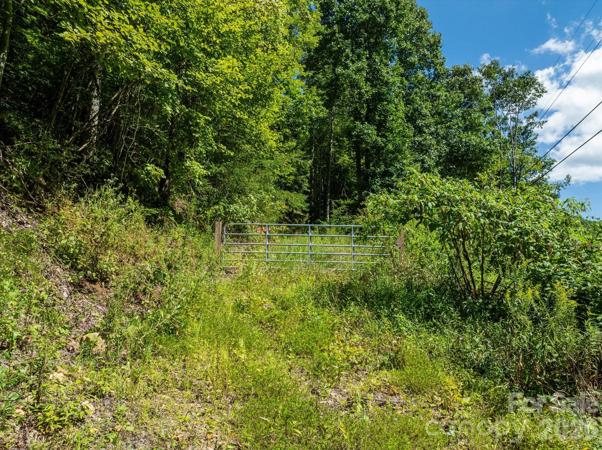 99999 Patsy Creek Road Property Photo 4