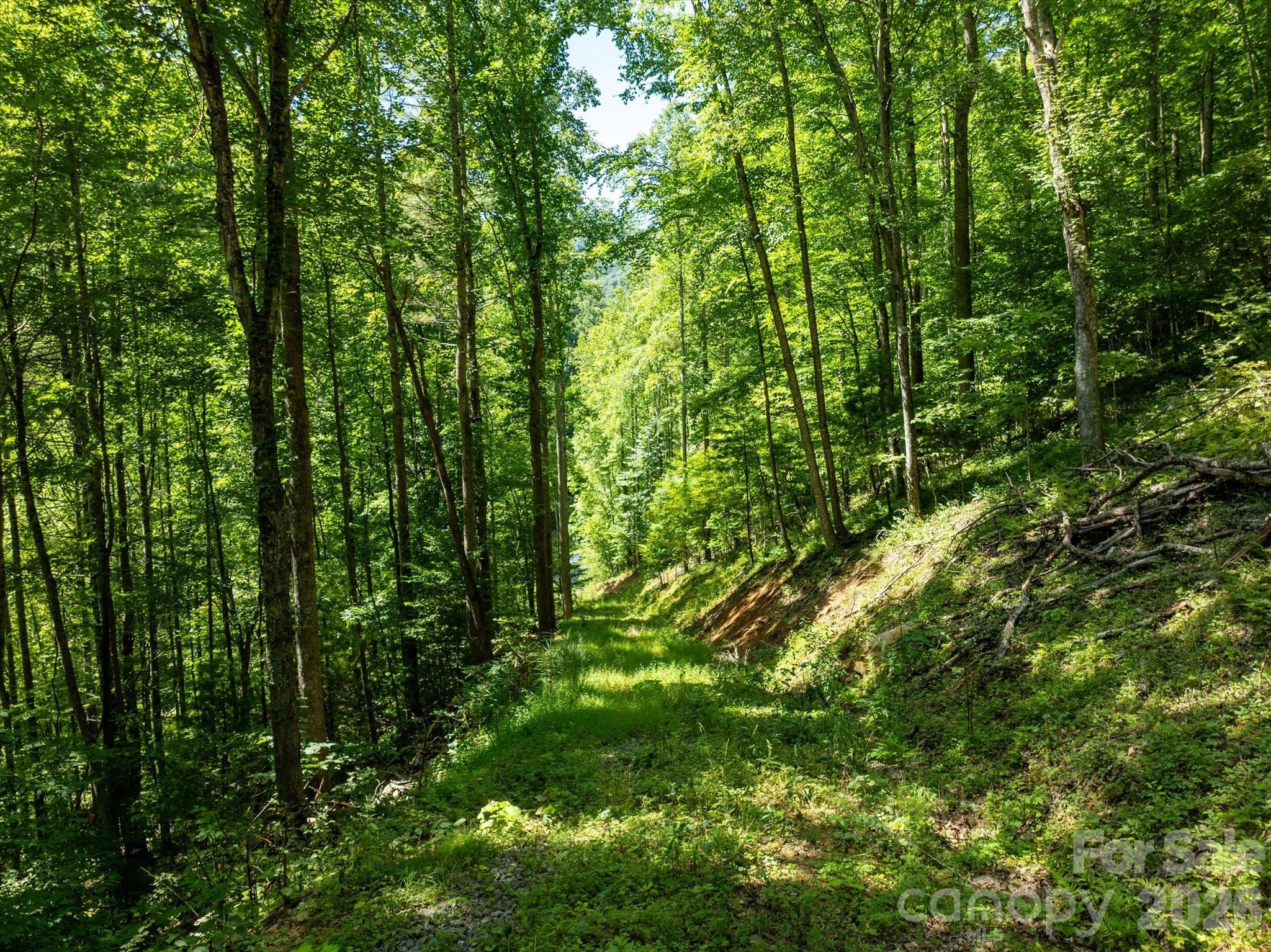 99999 Patsy Creek Road Property Photo 6