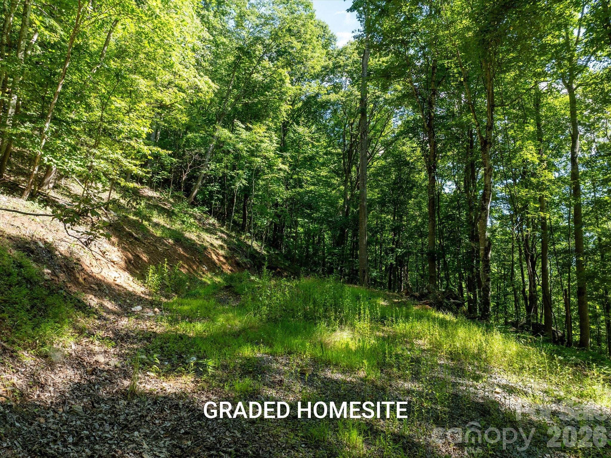 99999 Patsy Creek Road Property Photo 7