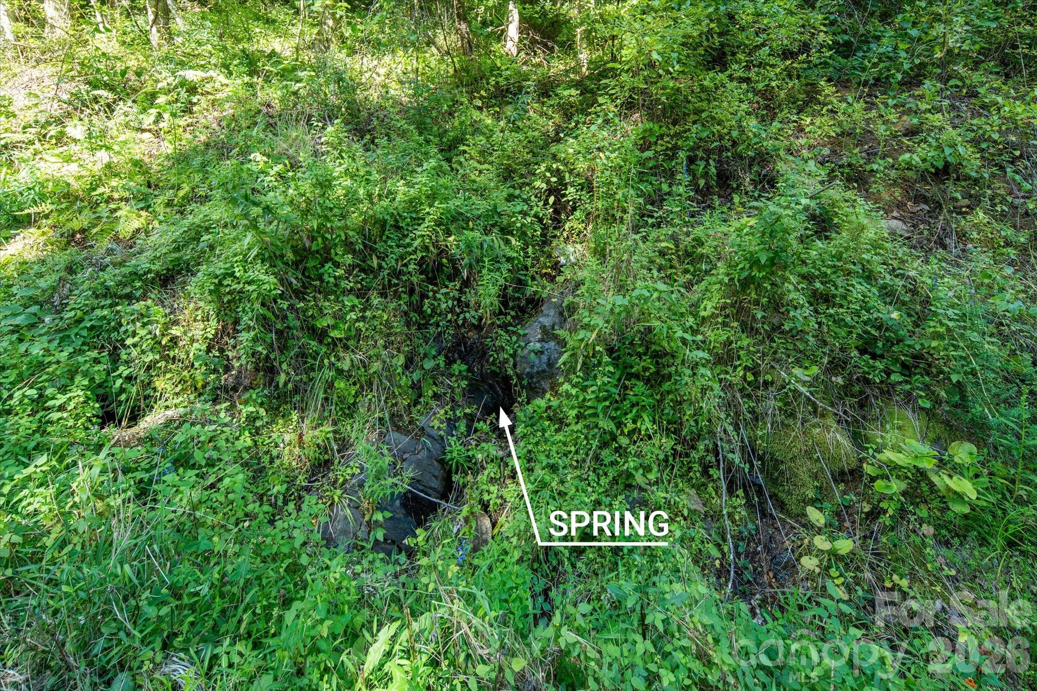 99999 Patsy Creek Road Property Photo 8