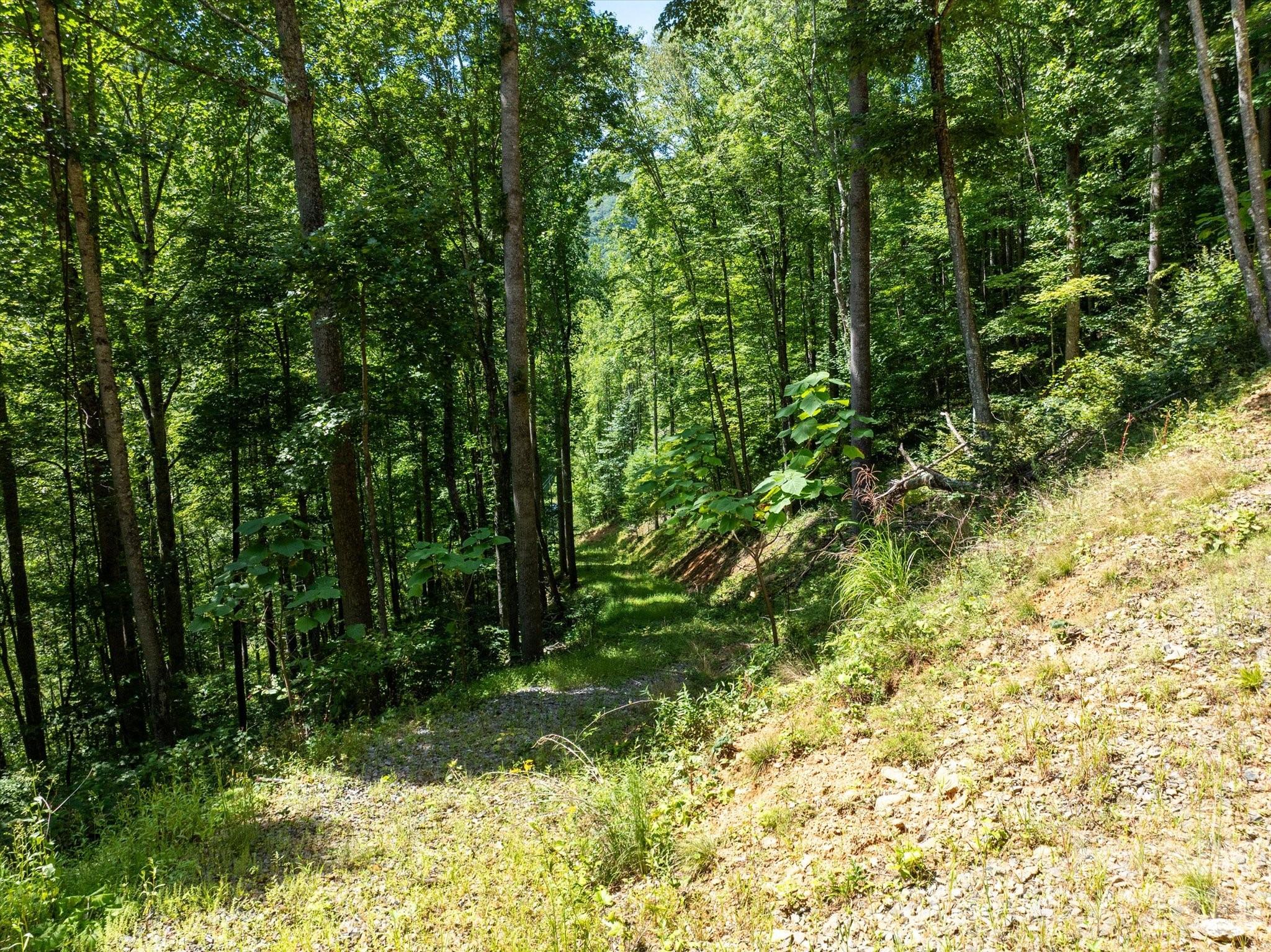 99999 Patsy Creek Road Property Photo 9