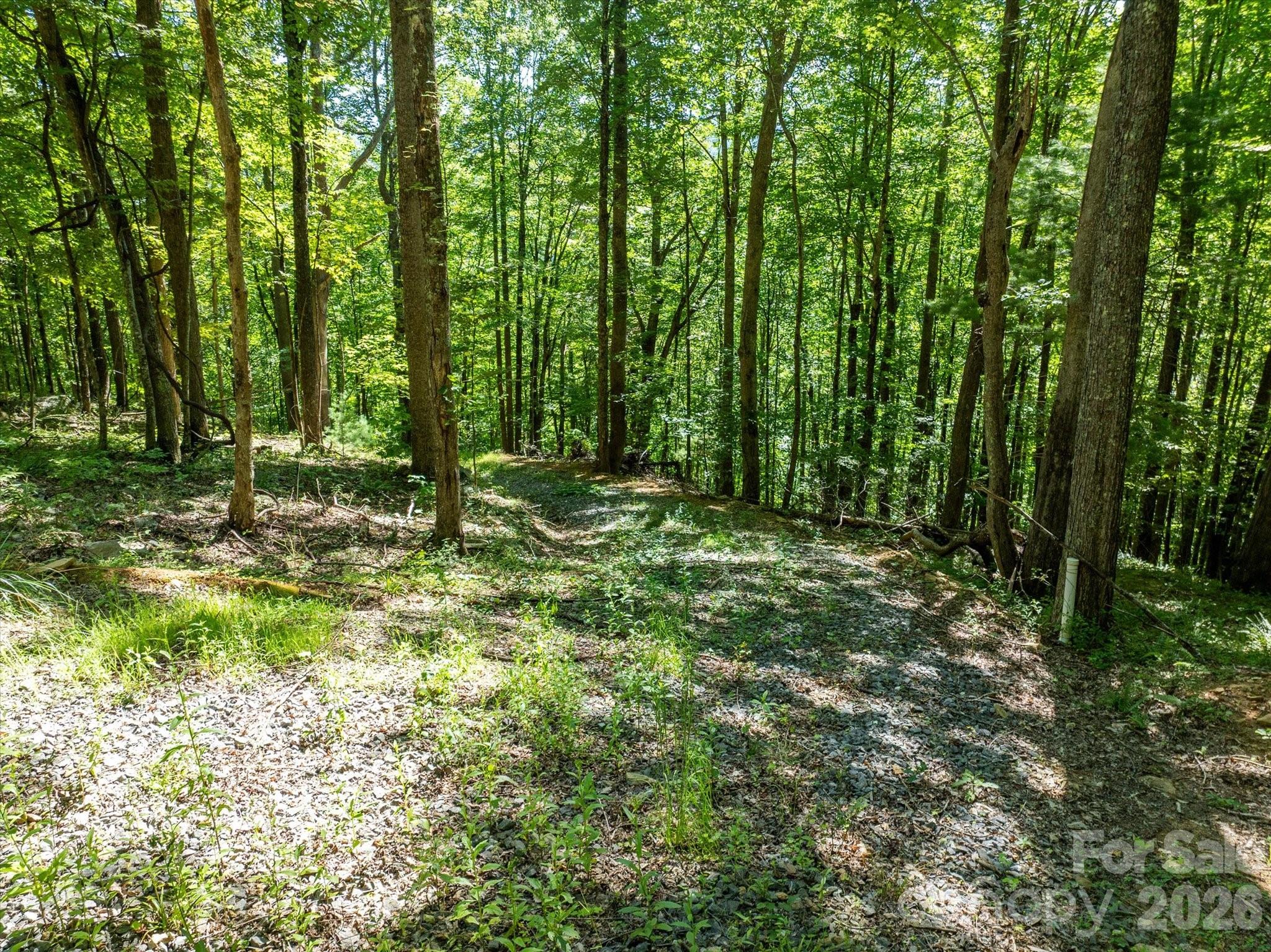 99999 Patsy Creek Road Property Photo 10