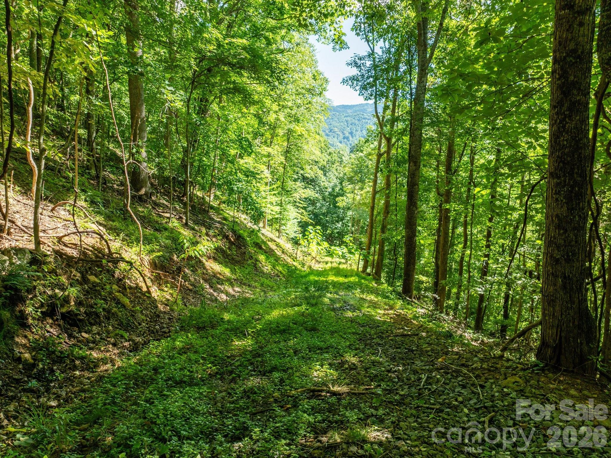 99999 Patsy Creek Road Property Photo 11