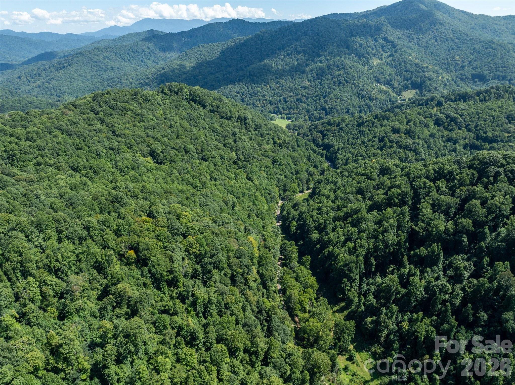 99999 Patsy Creek Road Property Photo 12
