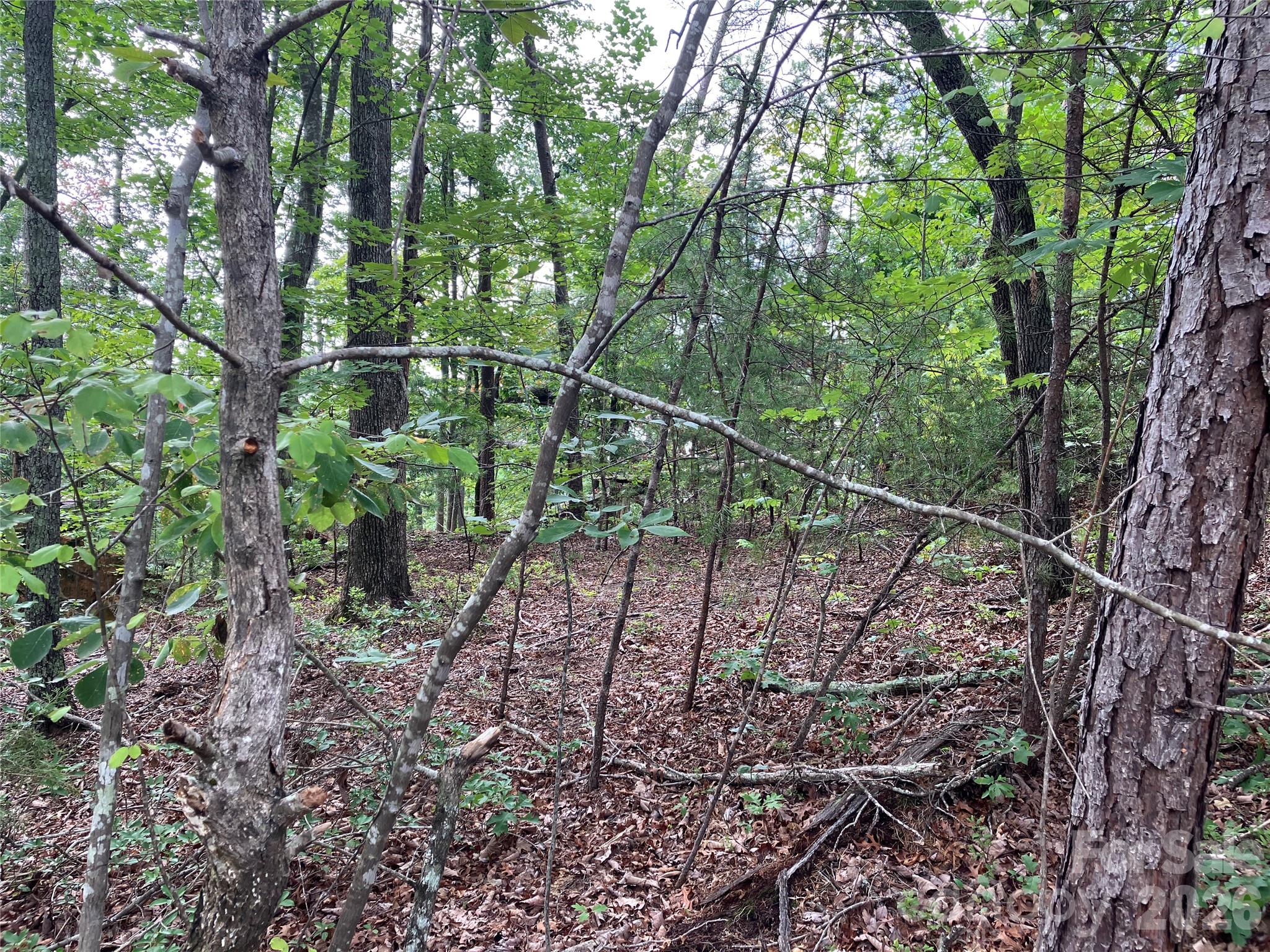 00 Tyler Terrace Lot 11 Property Photo 3