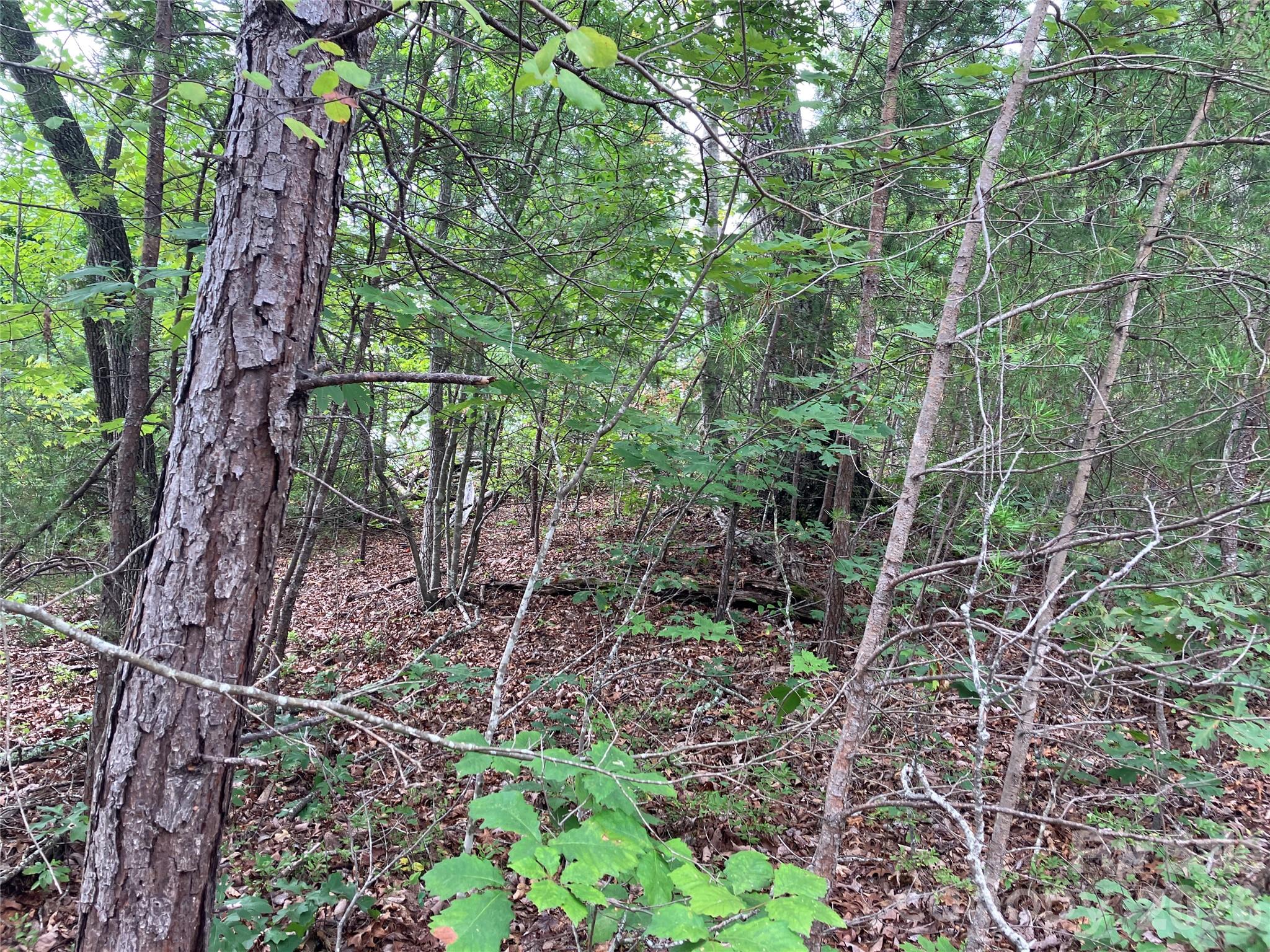 00 Tyler Terrace Lot 11 Property Photo 4