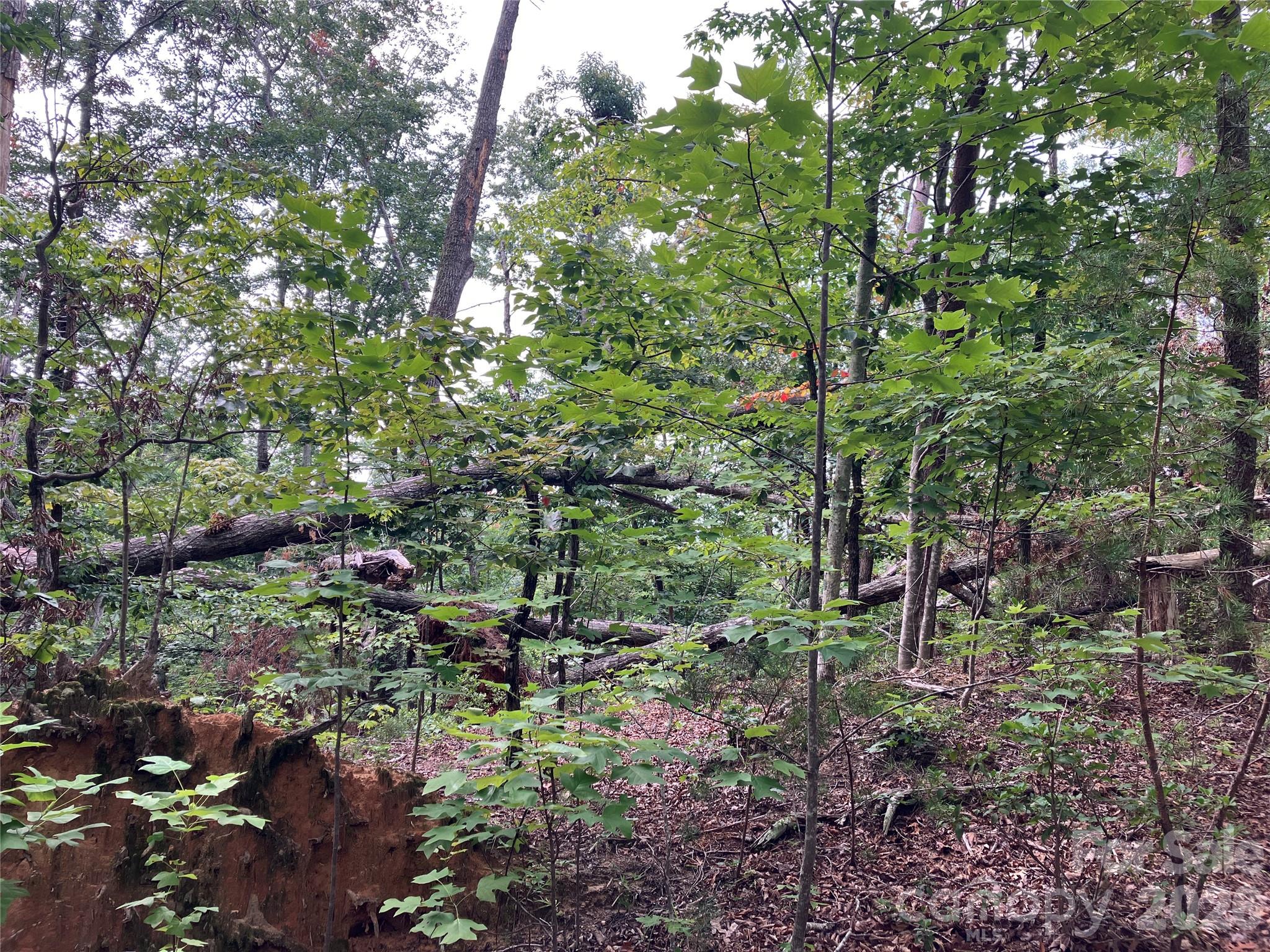 00 Tyler Terrace Lot 11 Property Photo 5