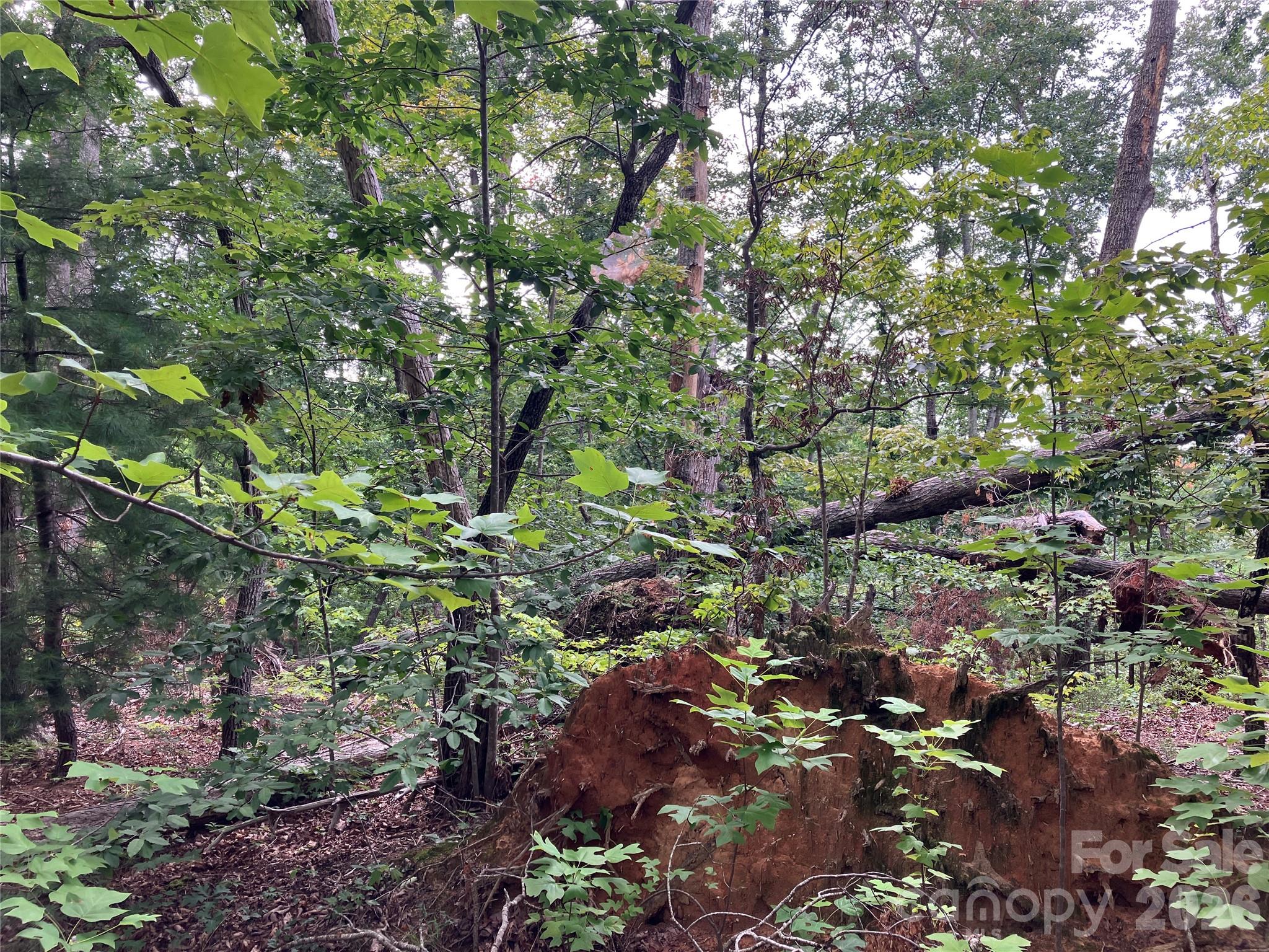 00 Tyler Terrace Lot 11 Property Photo 6