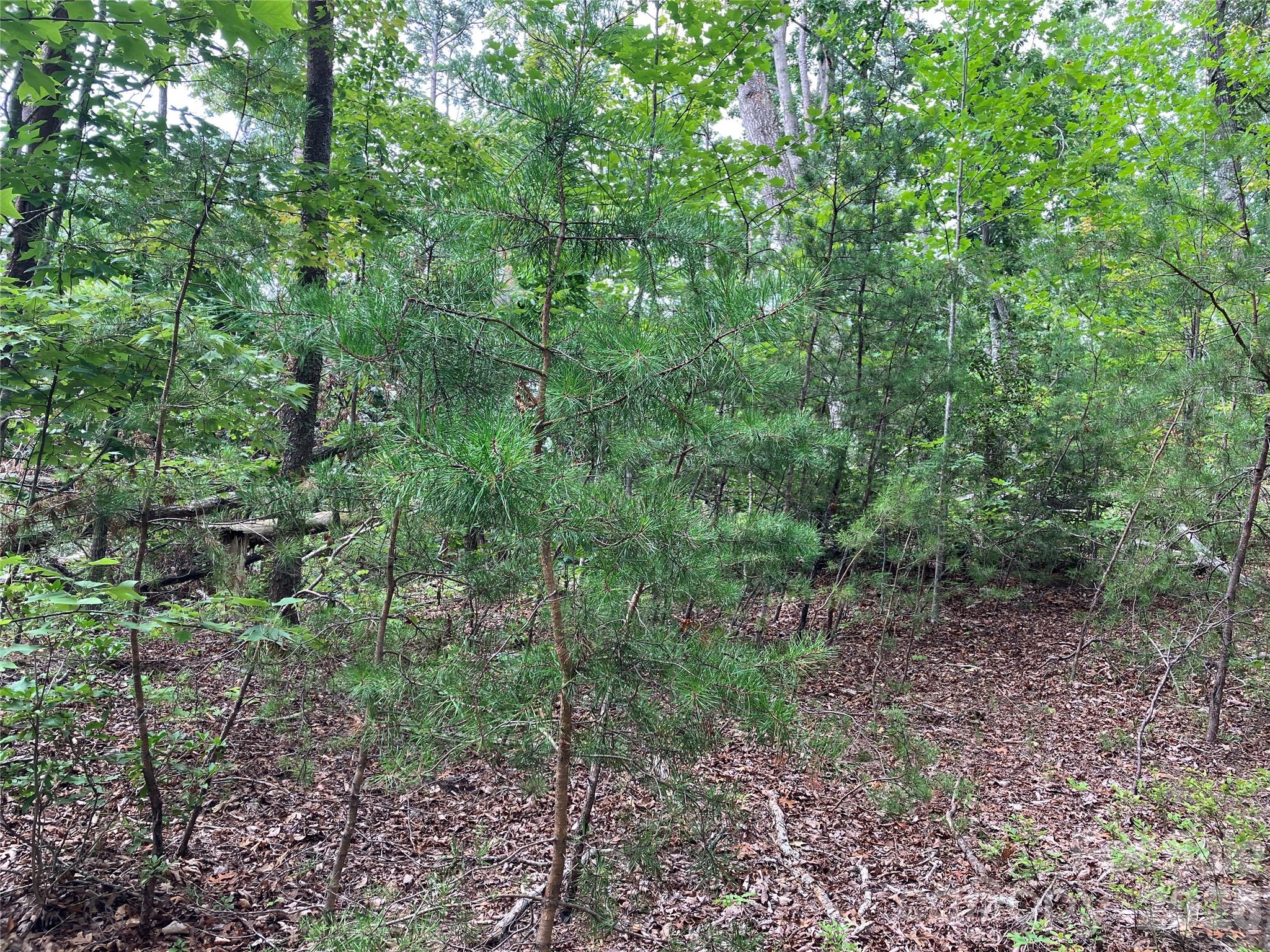 00 Tyler Terrace Lot 11 Property Photo 7