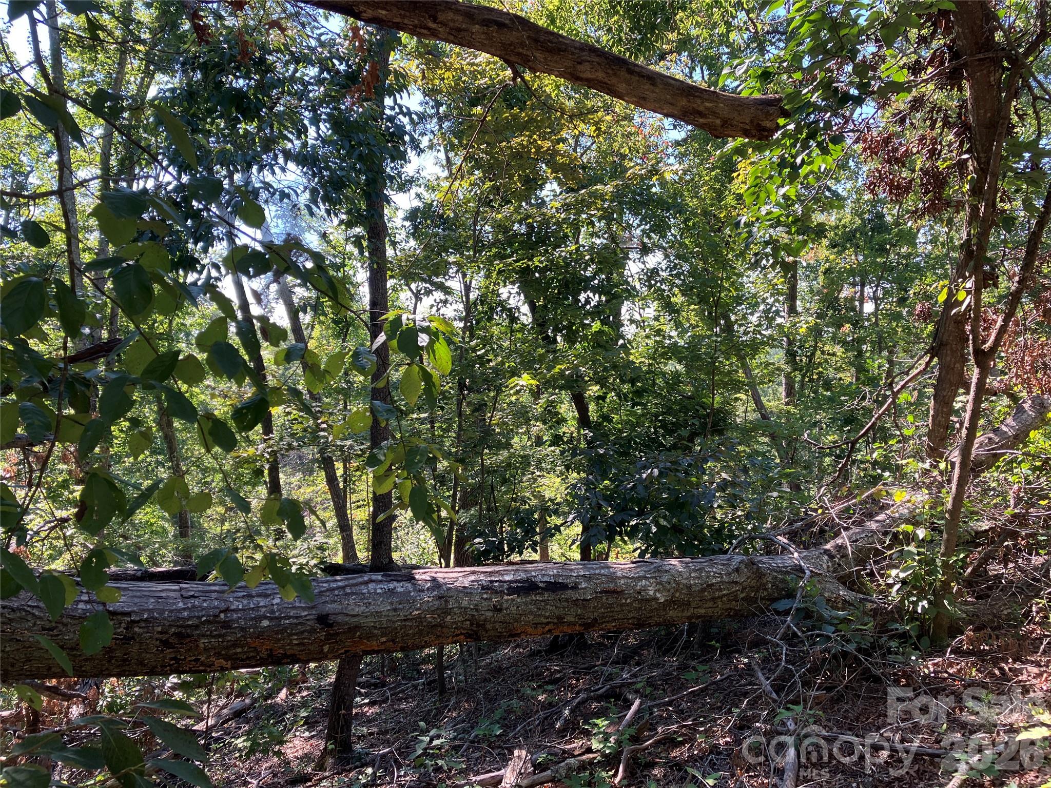 00 Tyler Terrace Lot 11 Property Photo 9