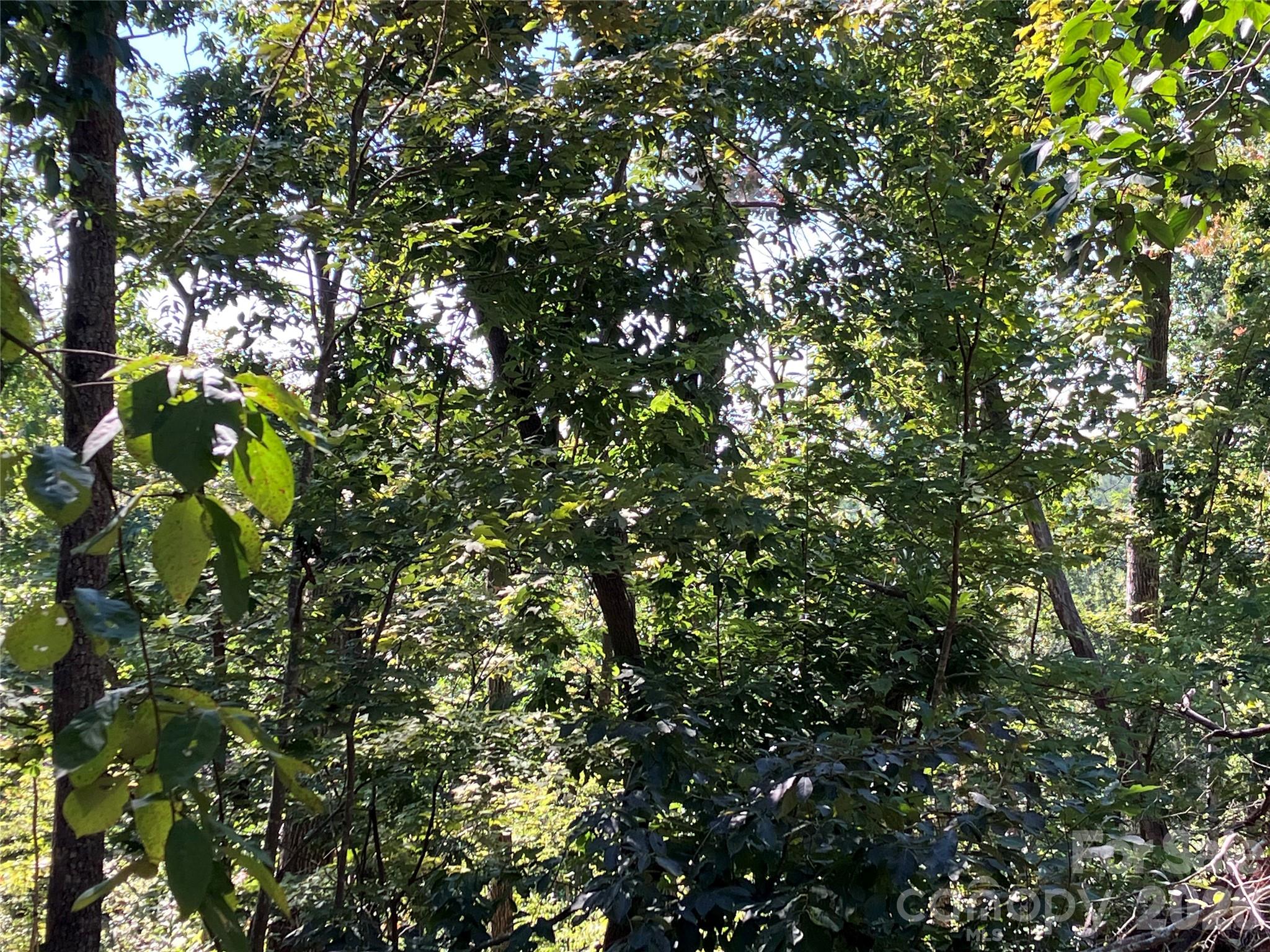00 Tyler Terrace Lot 11 Property Photo 10