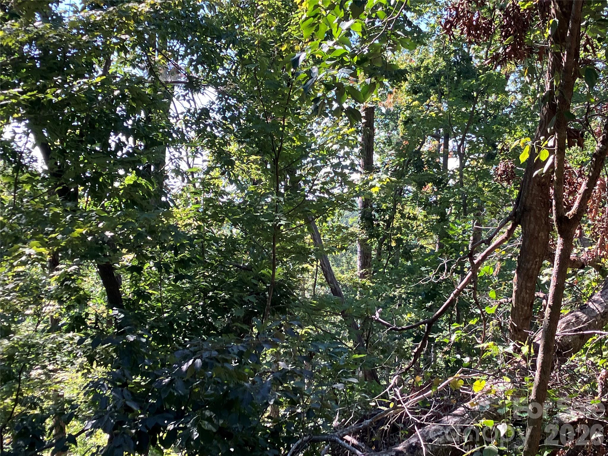 00 Tyler Terrace Lot 11 Property Photo 11