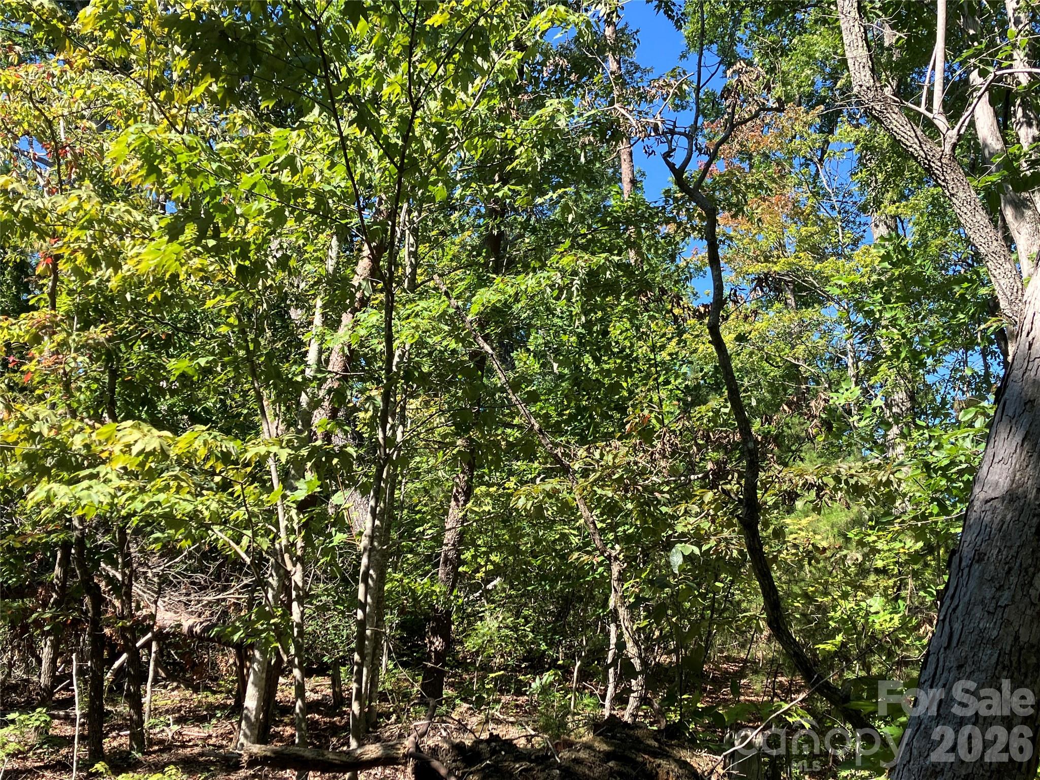 00 Tyler Terrace Lot 11 Property Photo 13