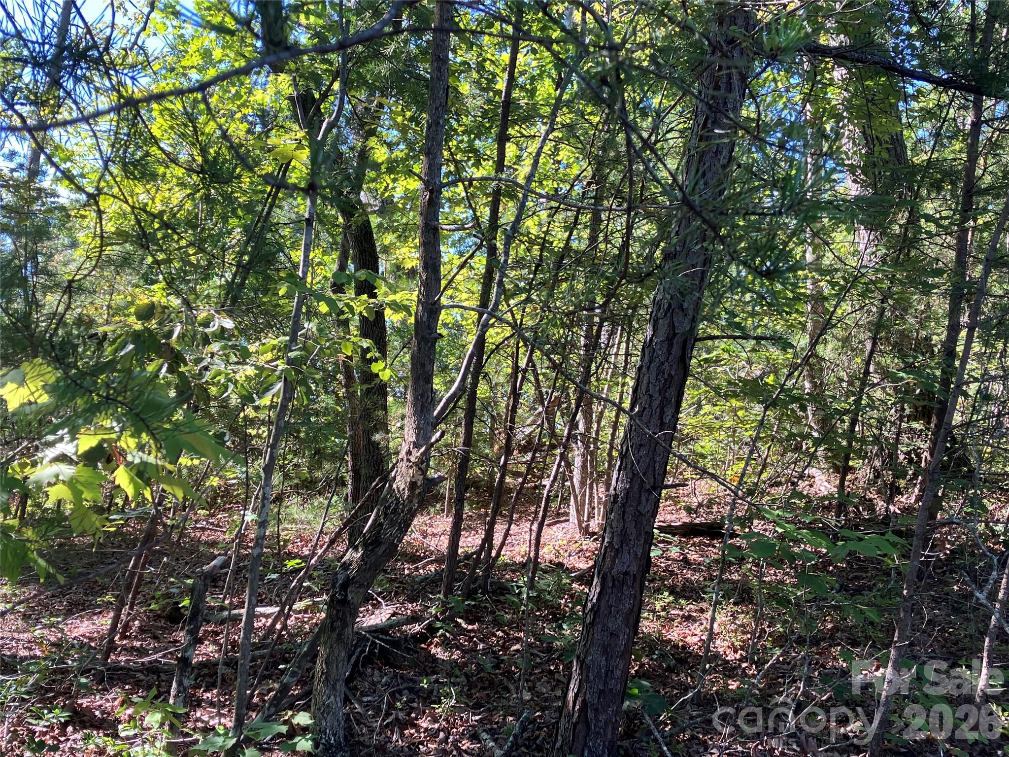 00 Tyler Terrace Lot 11 Property Photo 15