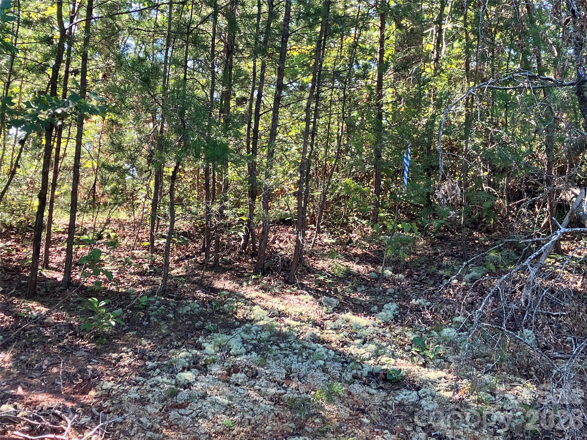 00 Tyler Terrace Lot 11 Property Photo 16