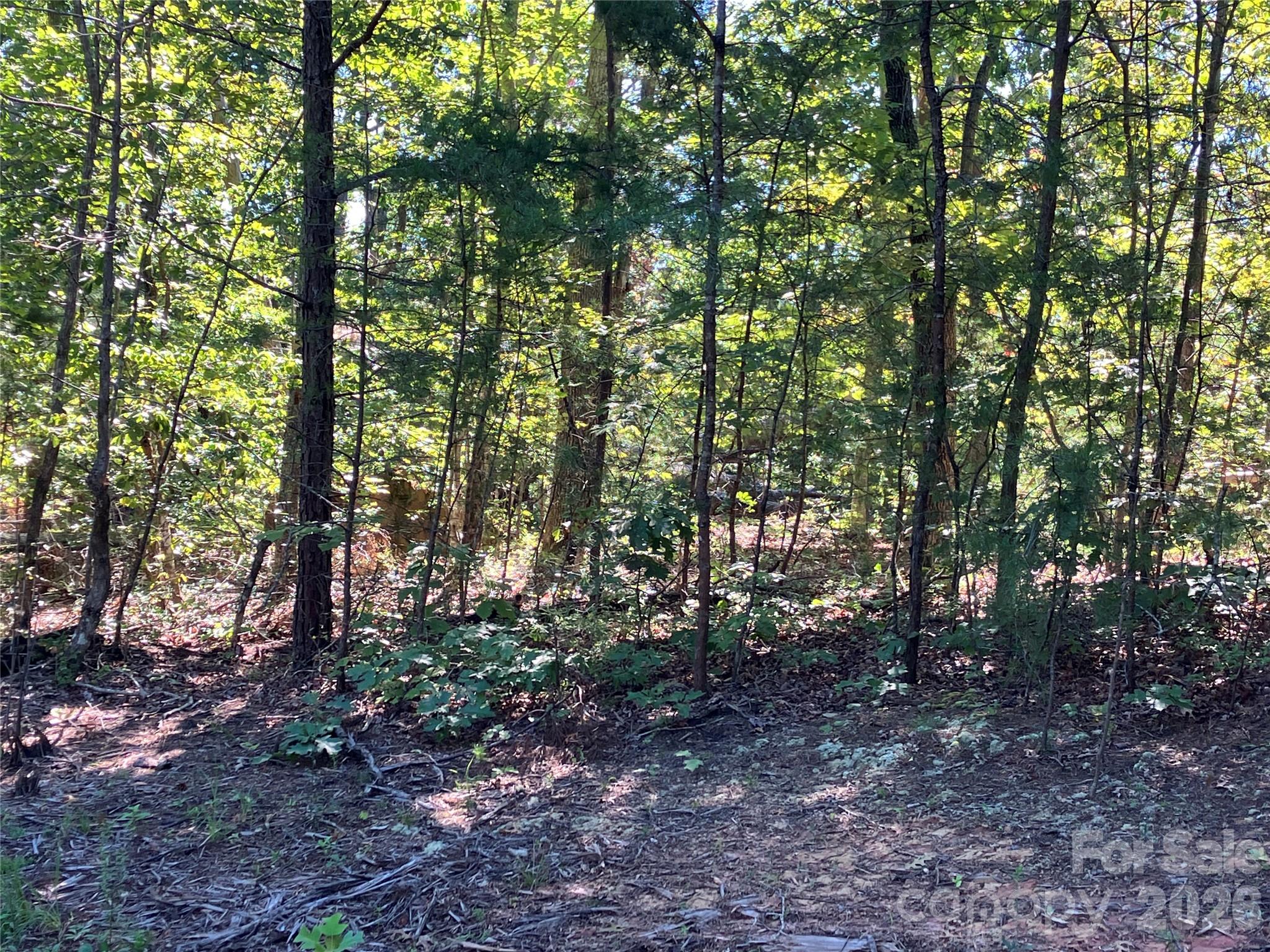 00 Tyler Terrace Lot 11 Property Photo 17